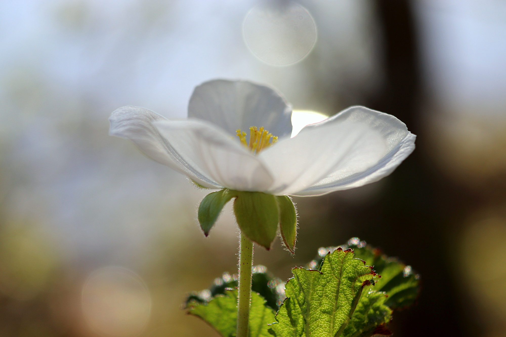 Valokuvaaja: Irja Lehtinen