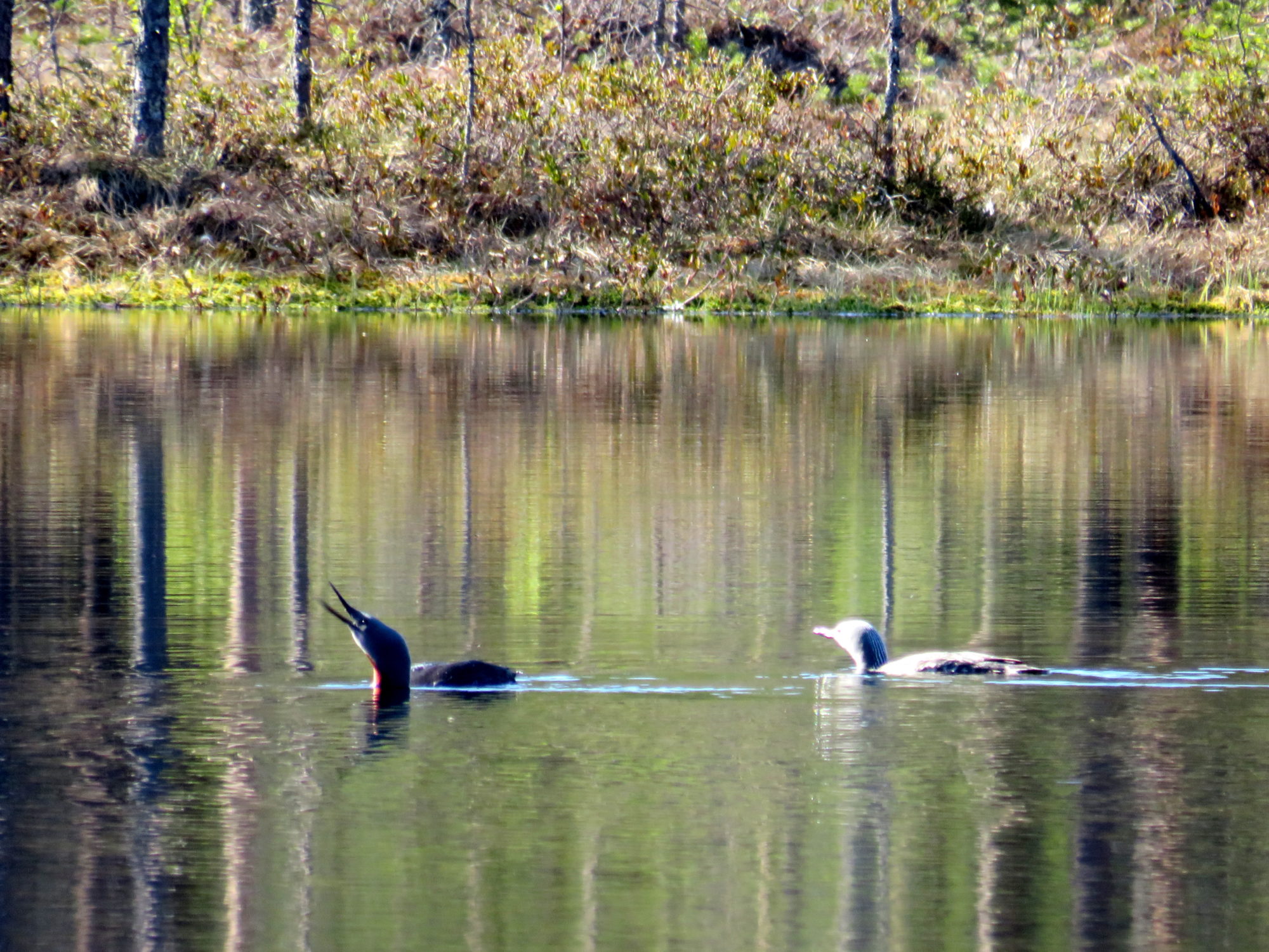 Valokuvaaja: Sirkka Ruotoistenmäki