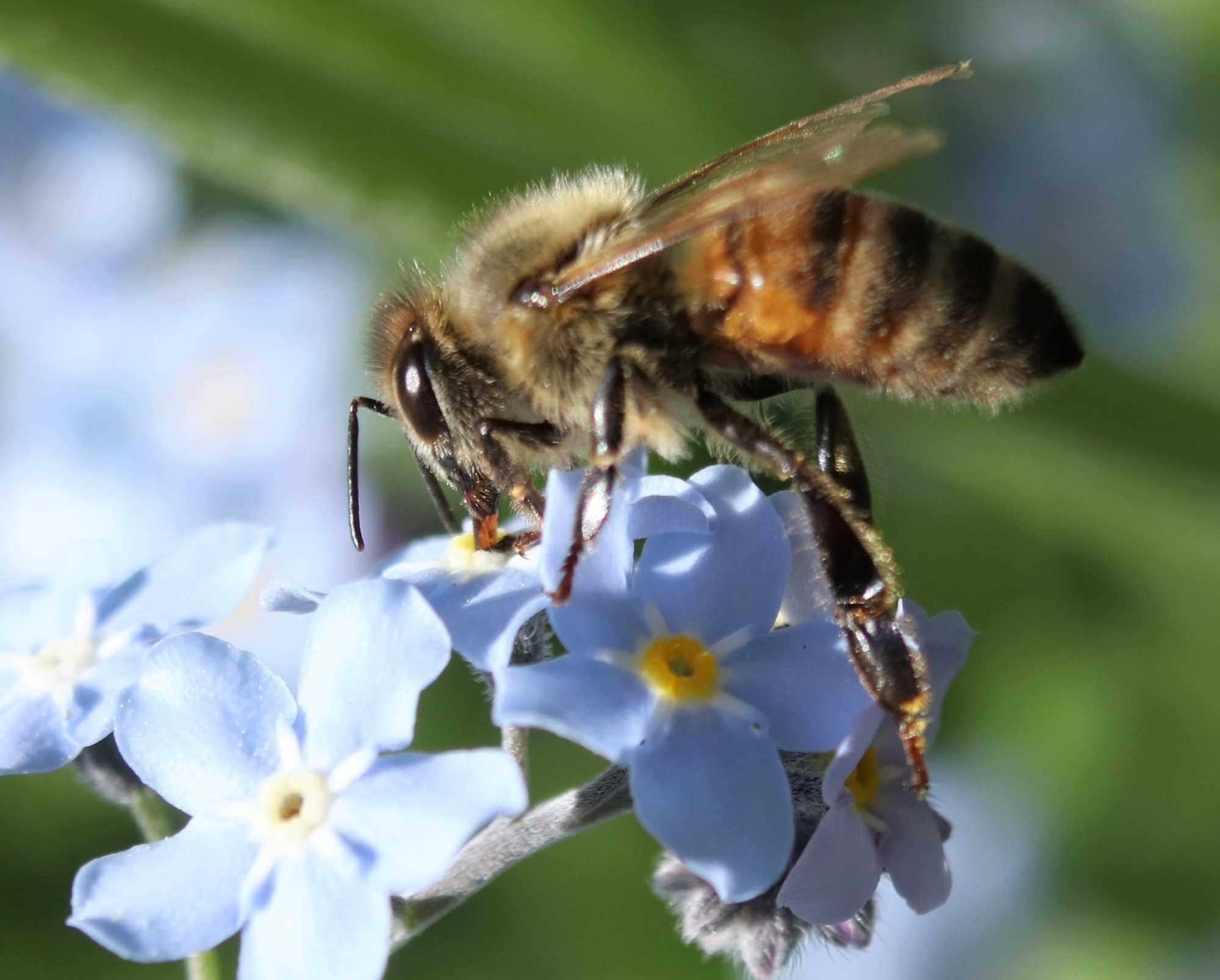 Valokuvaaja: Irja Lehtinen