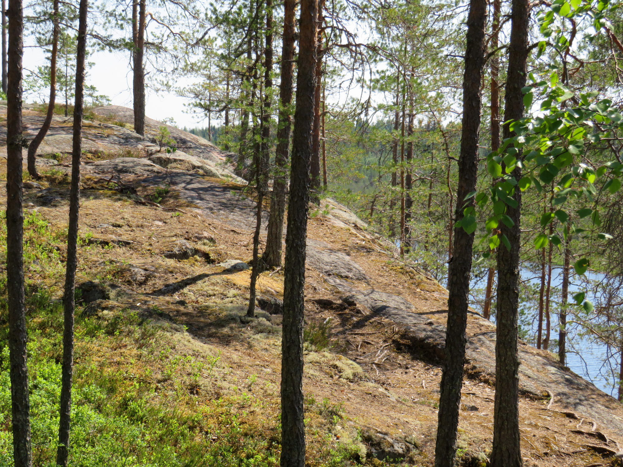 Valokuvaaja: Sirkka Ruotoistenmäki