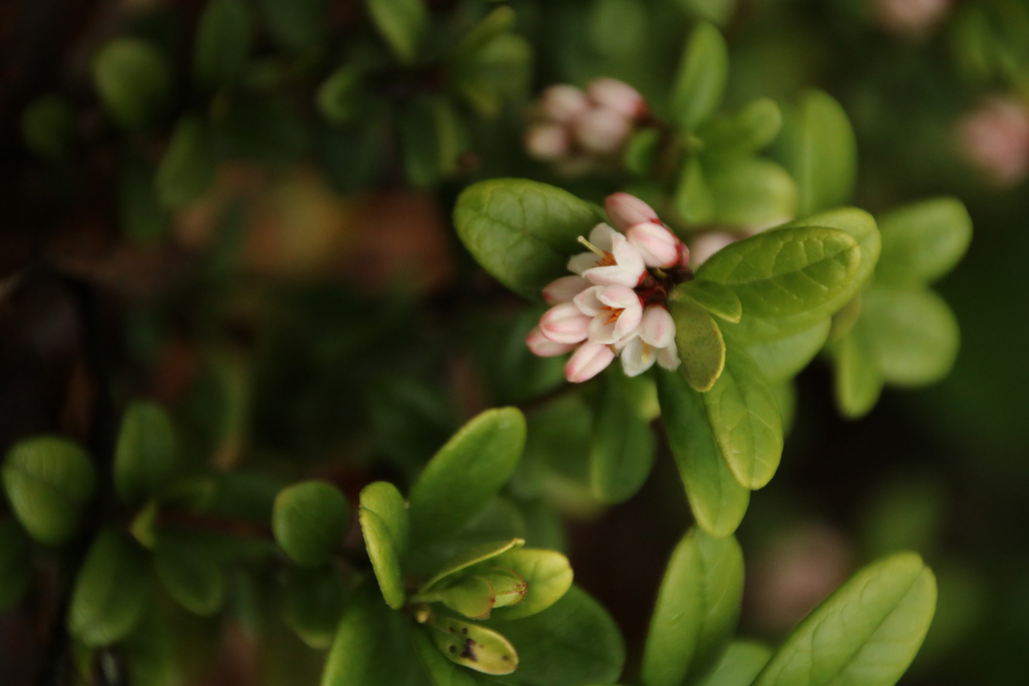 Valokuvaaja: Jenna Pitkänen