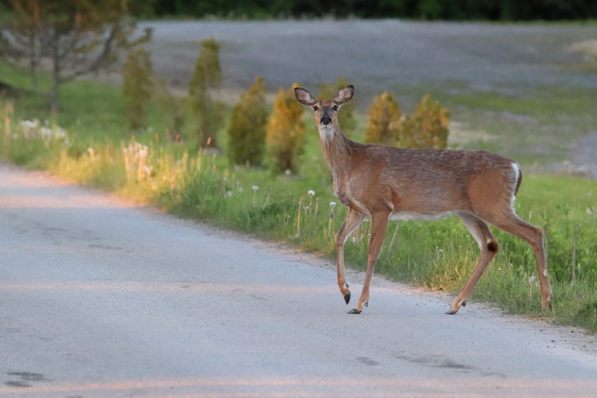 Valokuvaaja: Irja Lehtinen