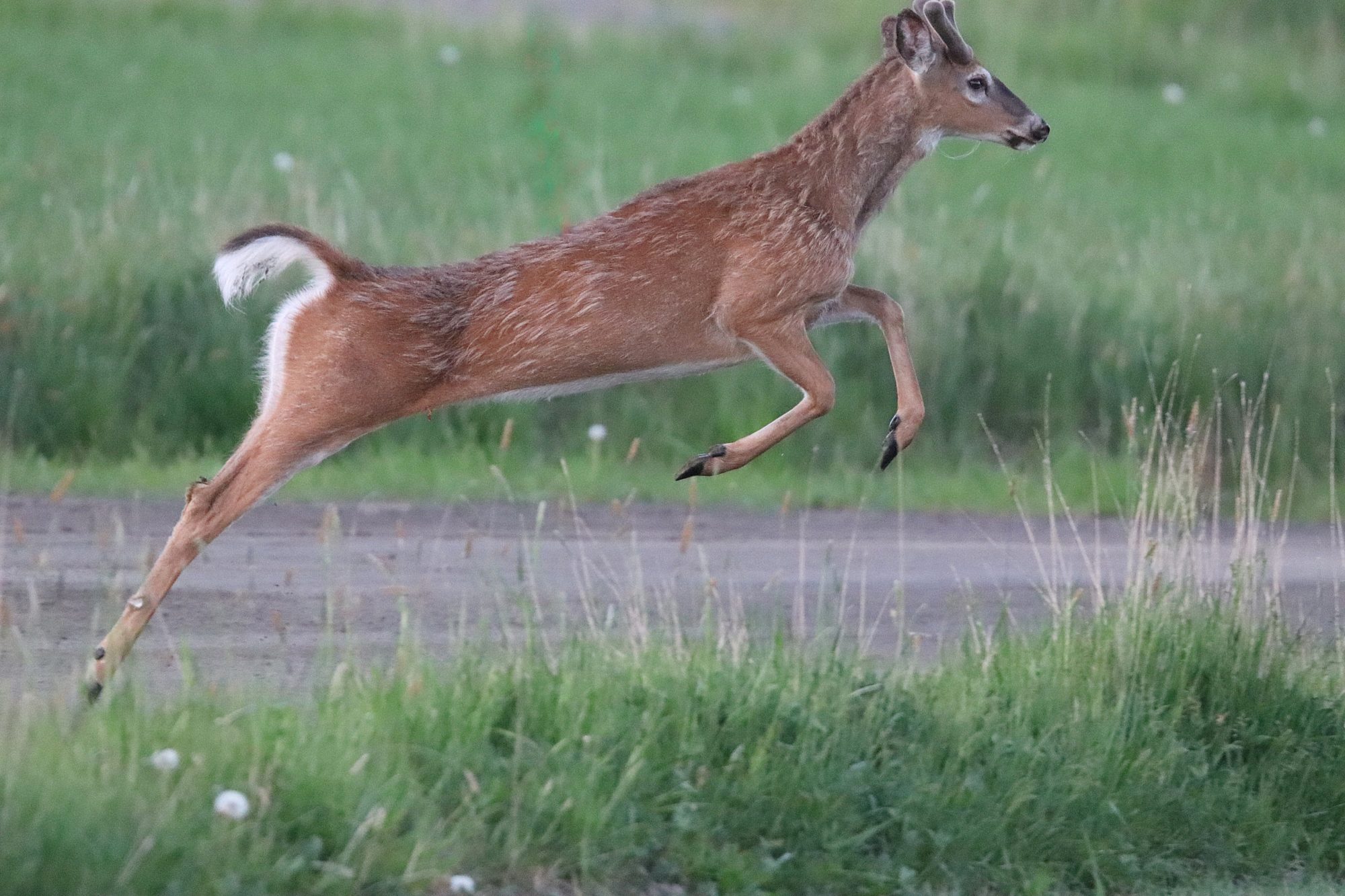 Valokuvaaja: Irja Lehtinen