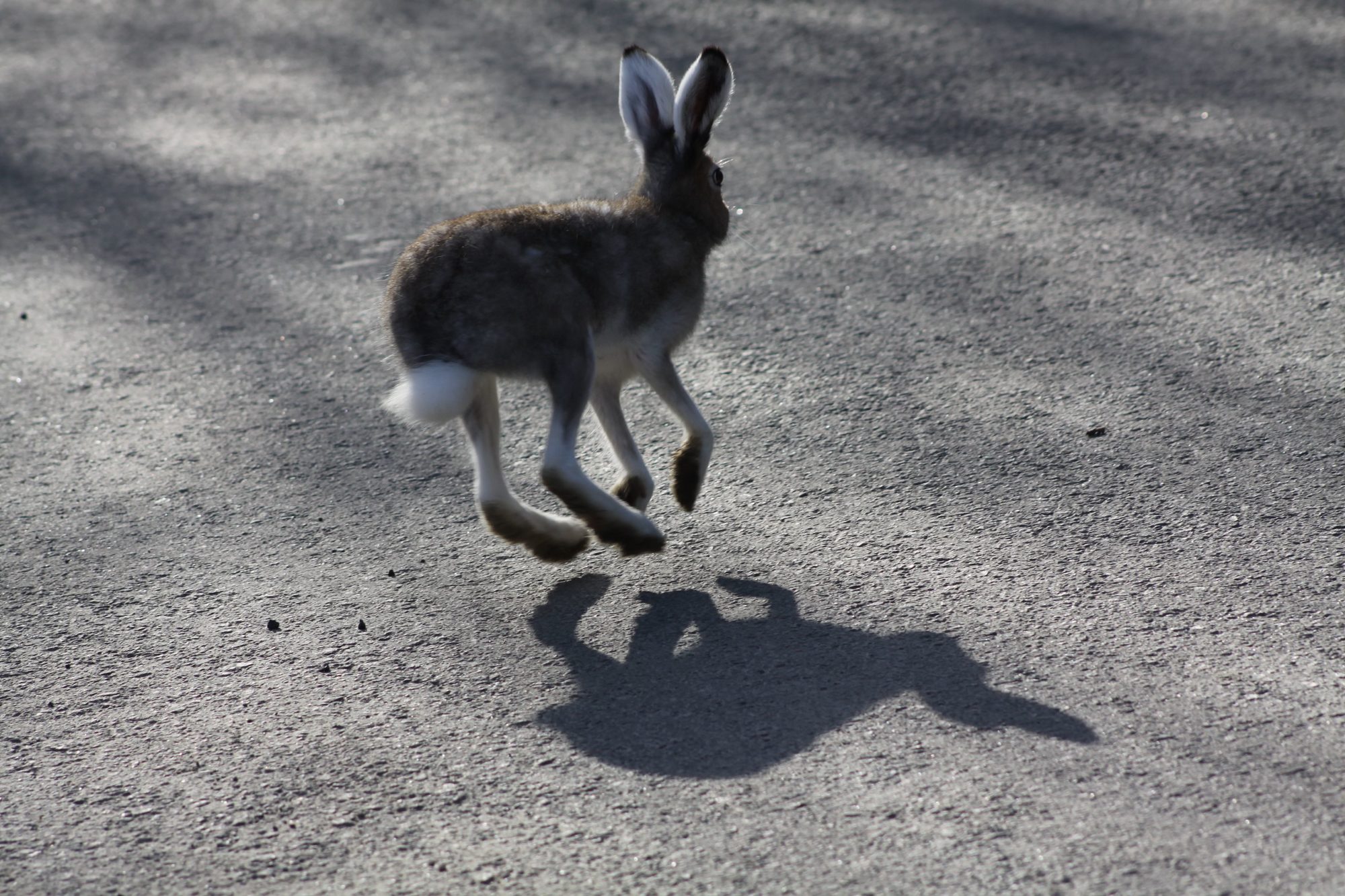 Valokuvaaja: Pirkko Siukonen Valokuvaaja: Pirkko Siukonen