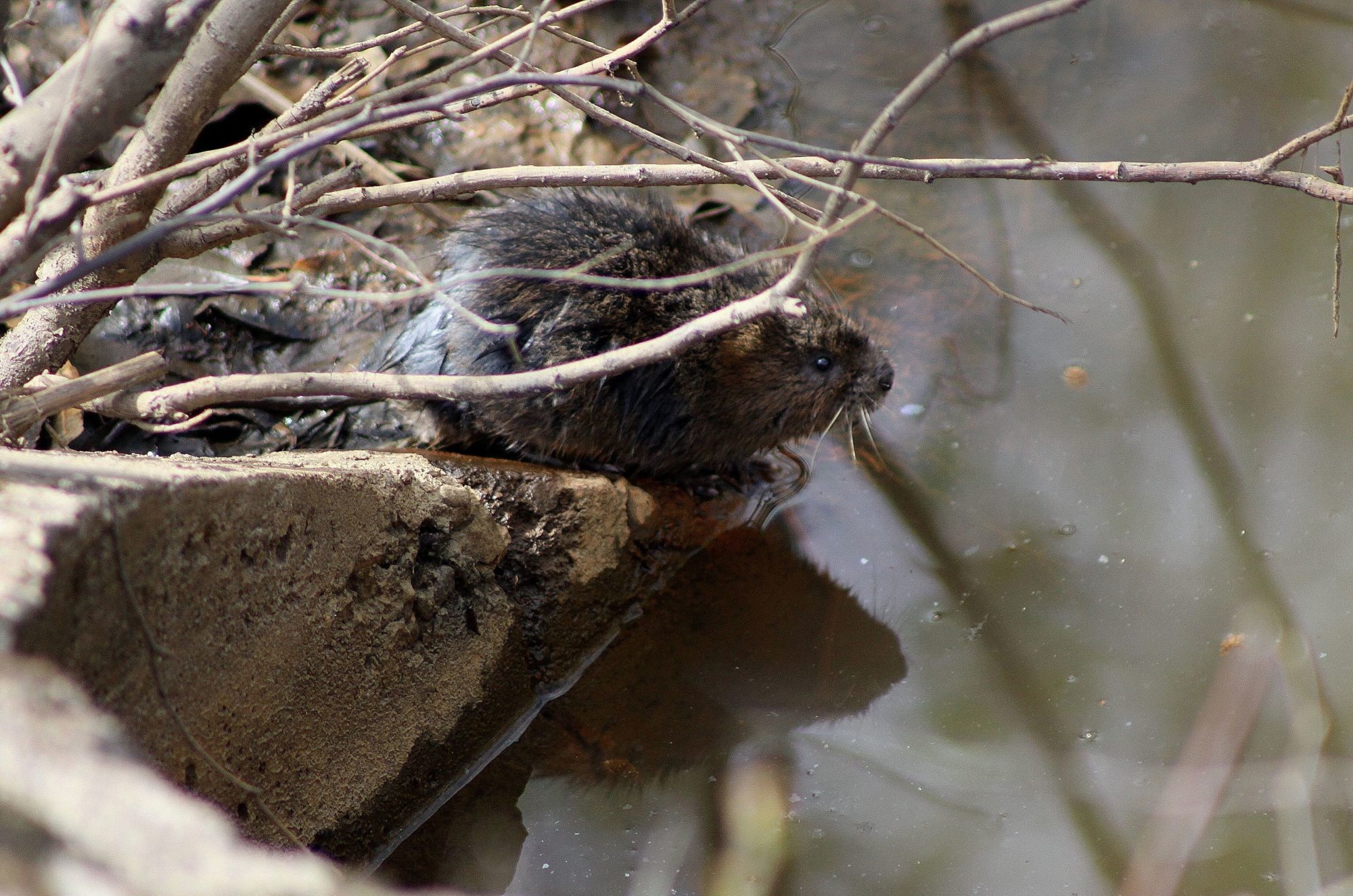 Valokuvaaja: Pirkko Siukonen