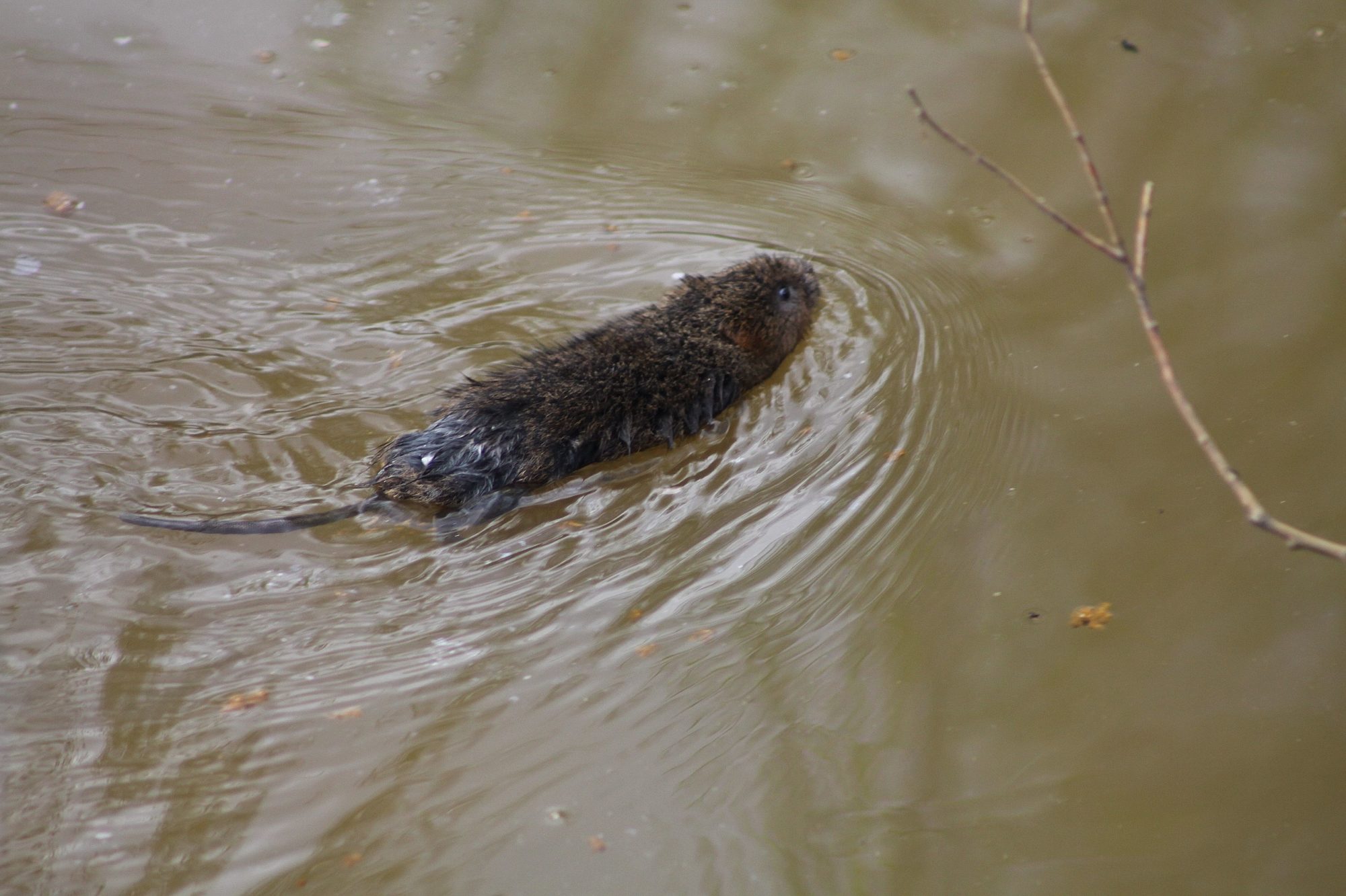Valokuvaaja: Pirkko Siukonen
