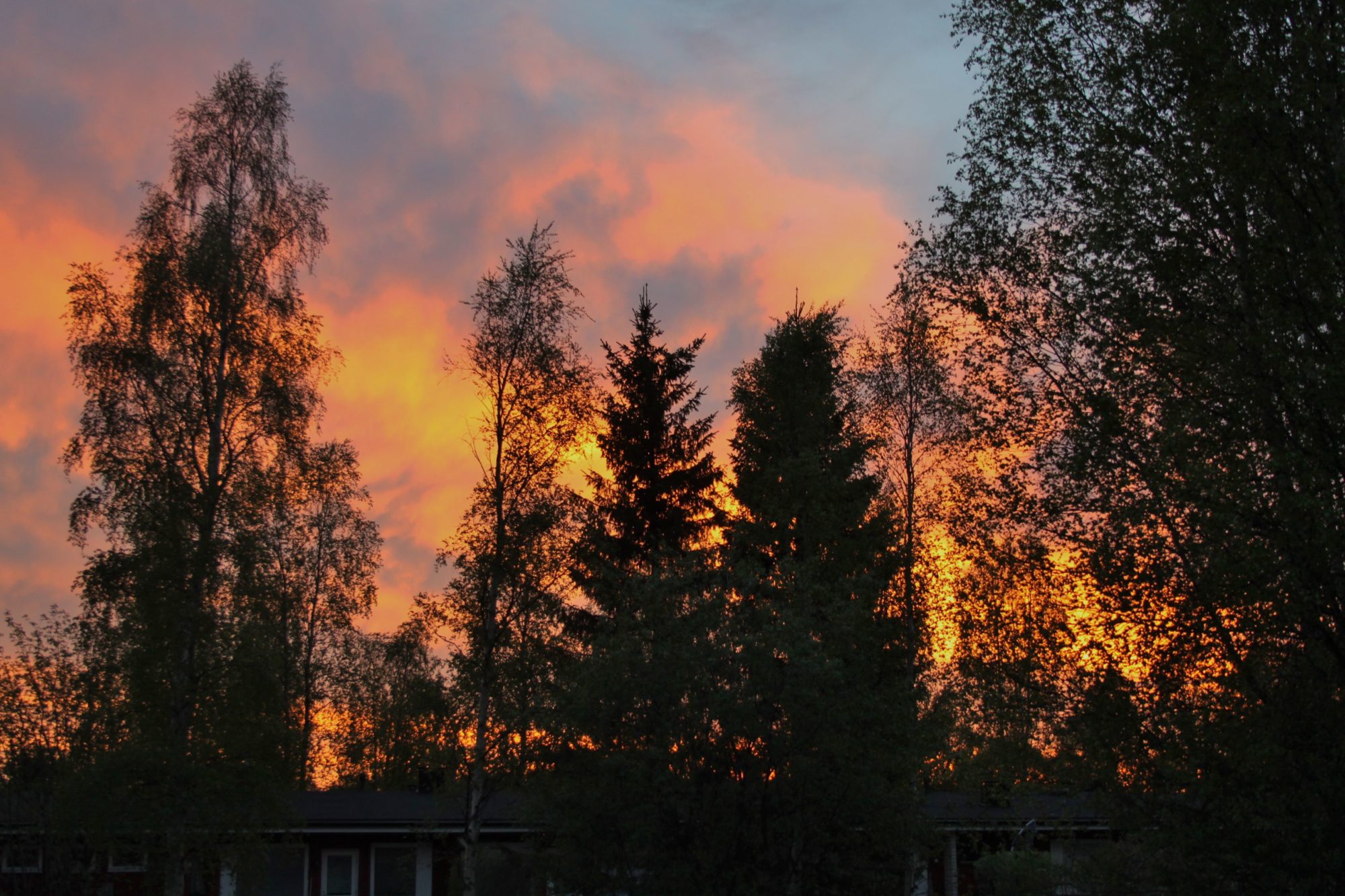 Valokuvaaja: Pirkko Siukonen