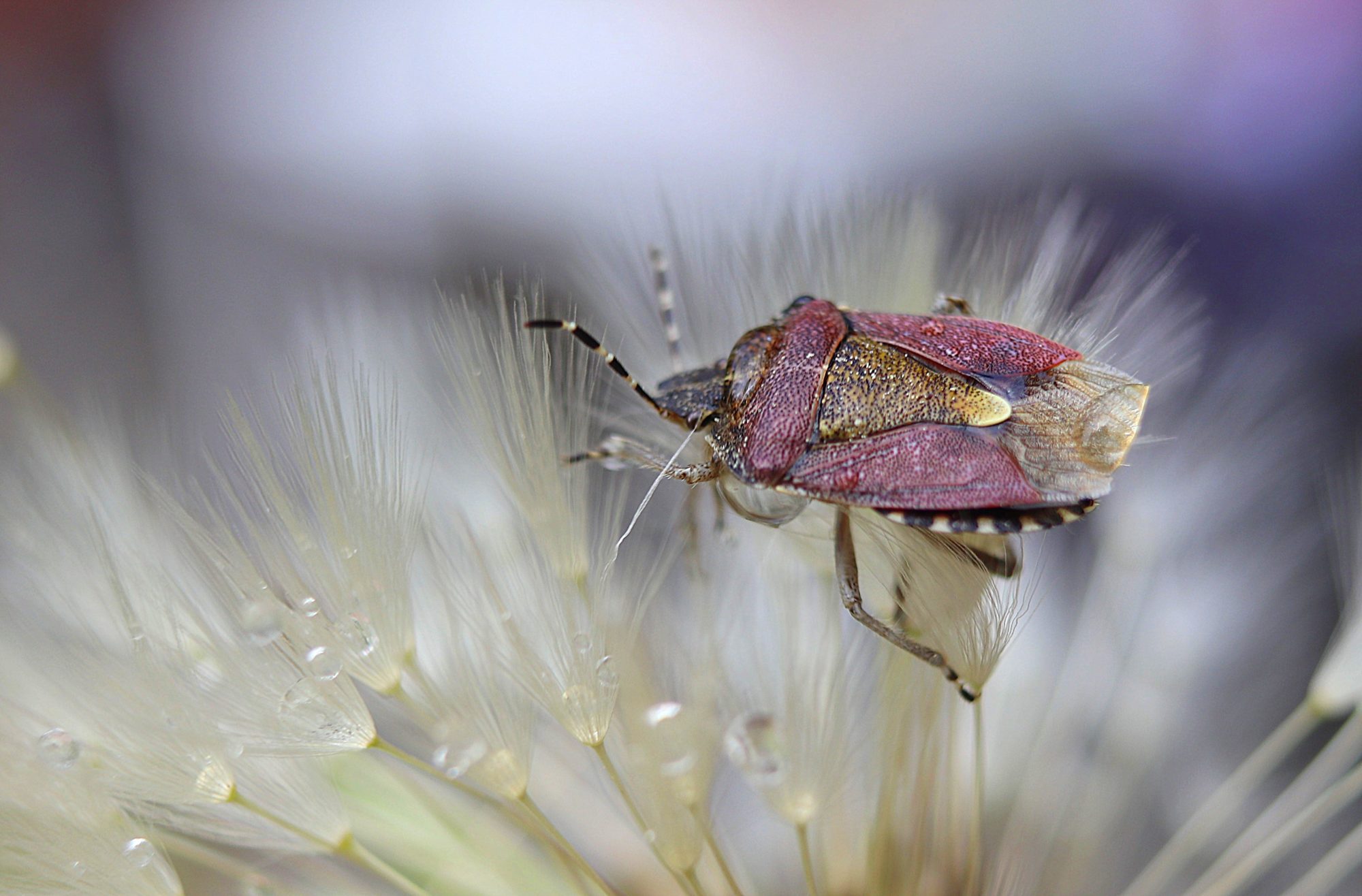 Valokuvaaja: Irja Lehtinen