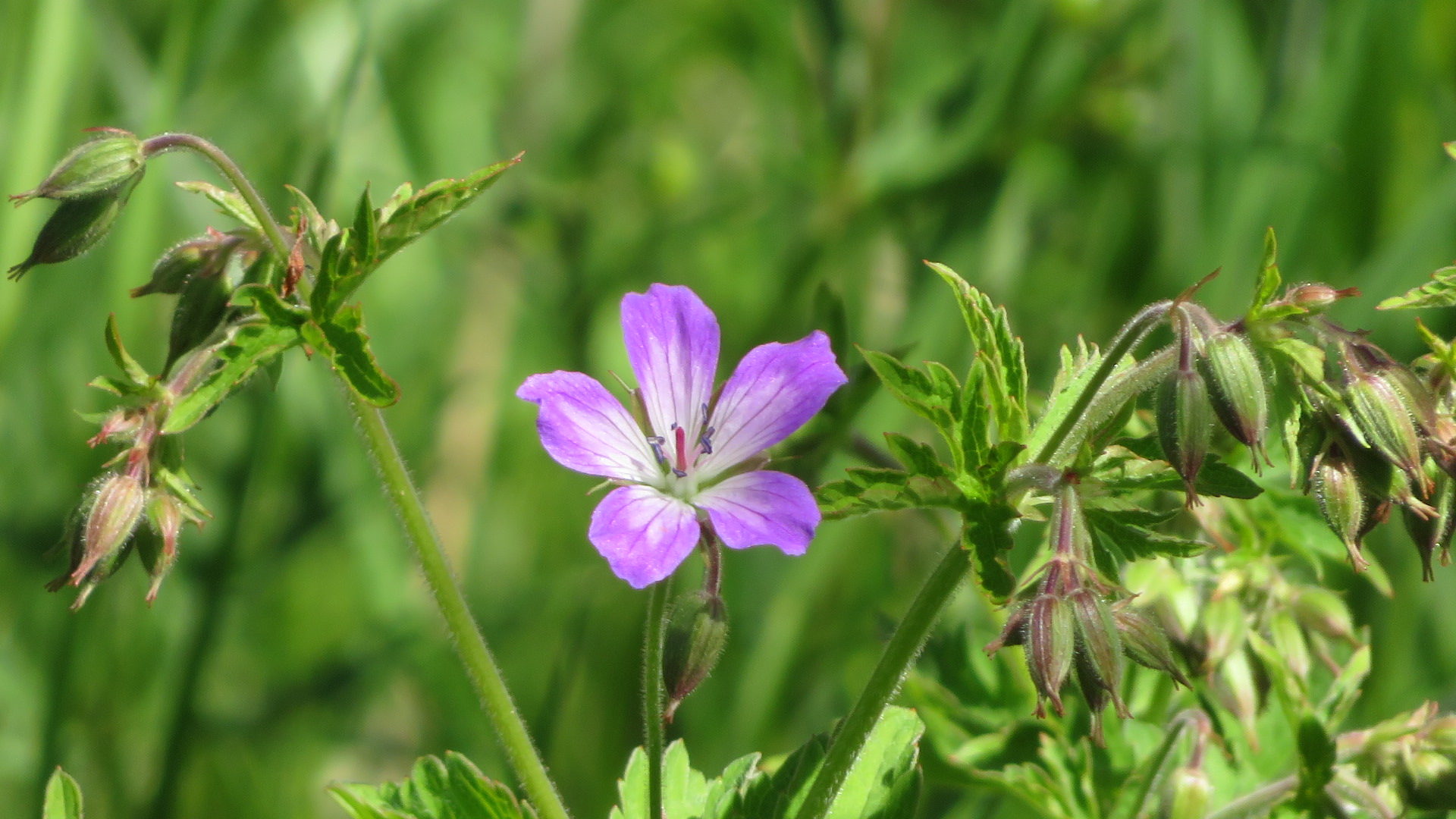 Valokuvaaja: Risto Kangassalo