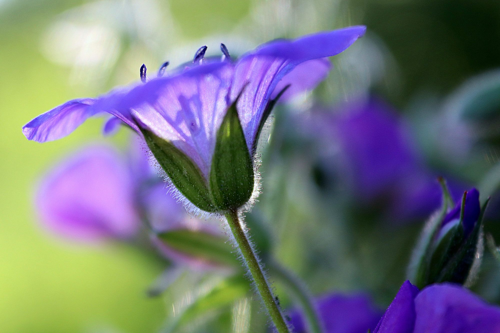Valokuvaaja: Irja Lehtinen