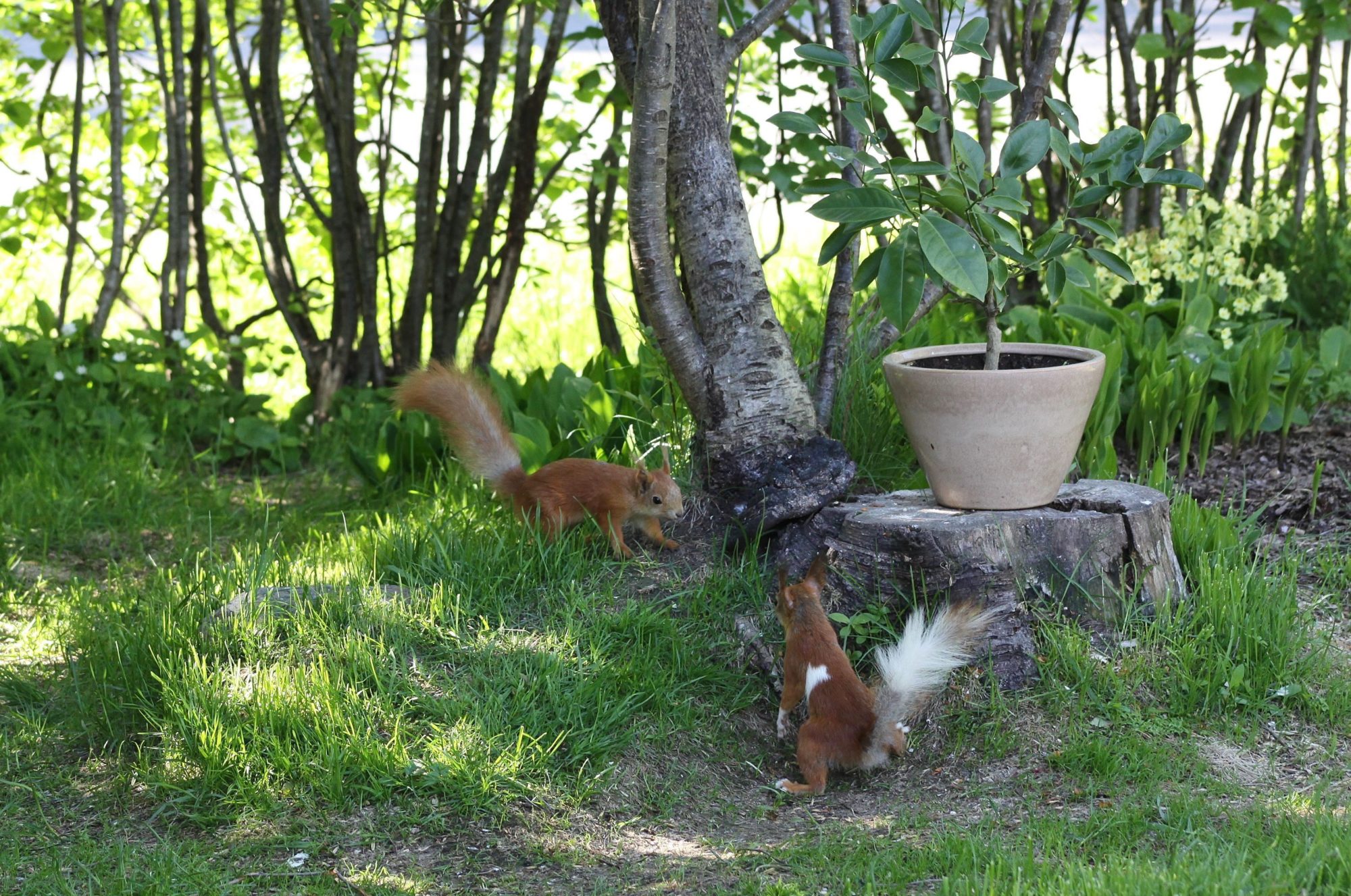 Valokuvaaja: Pirkko Siukonen