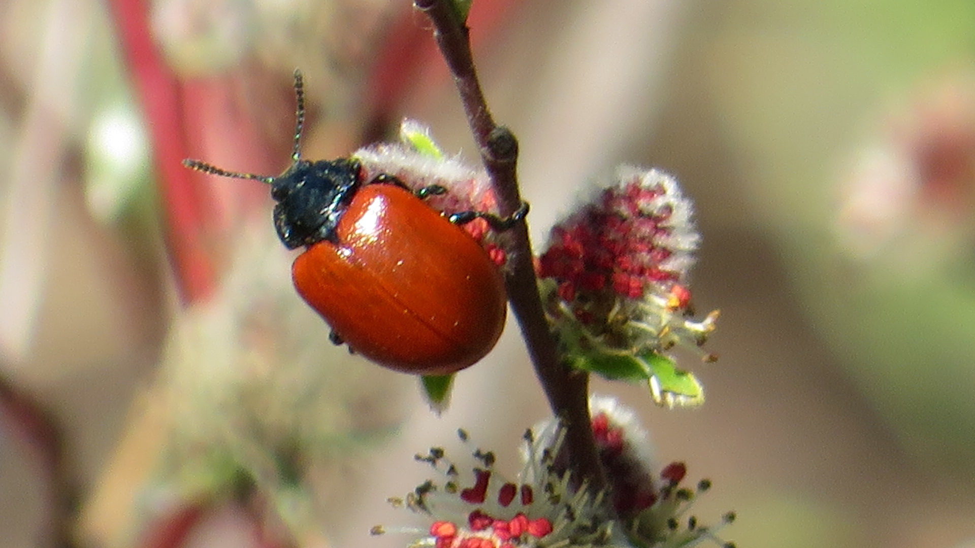 Valokuvaaja: Risto Kangassalo Valokuvaaja: Risto Kangassalo