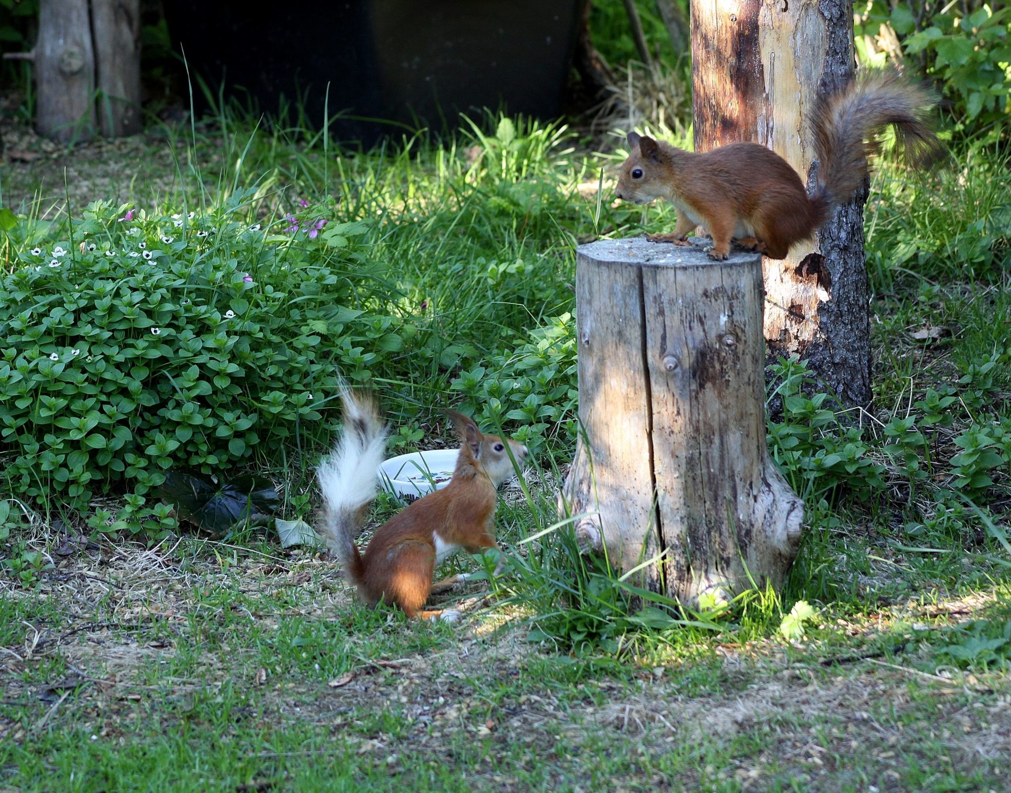 Valokuvaaja: Pirkko Siukonen