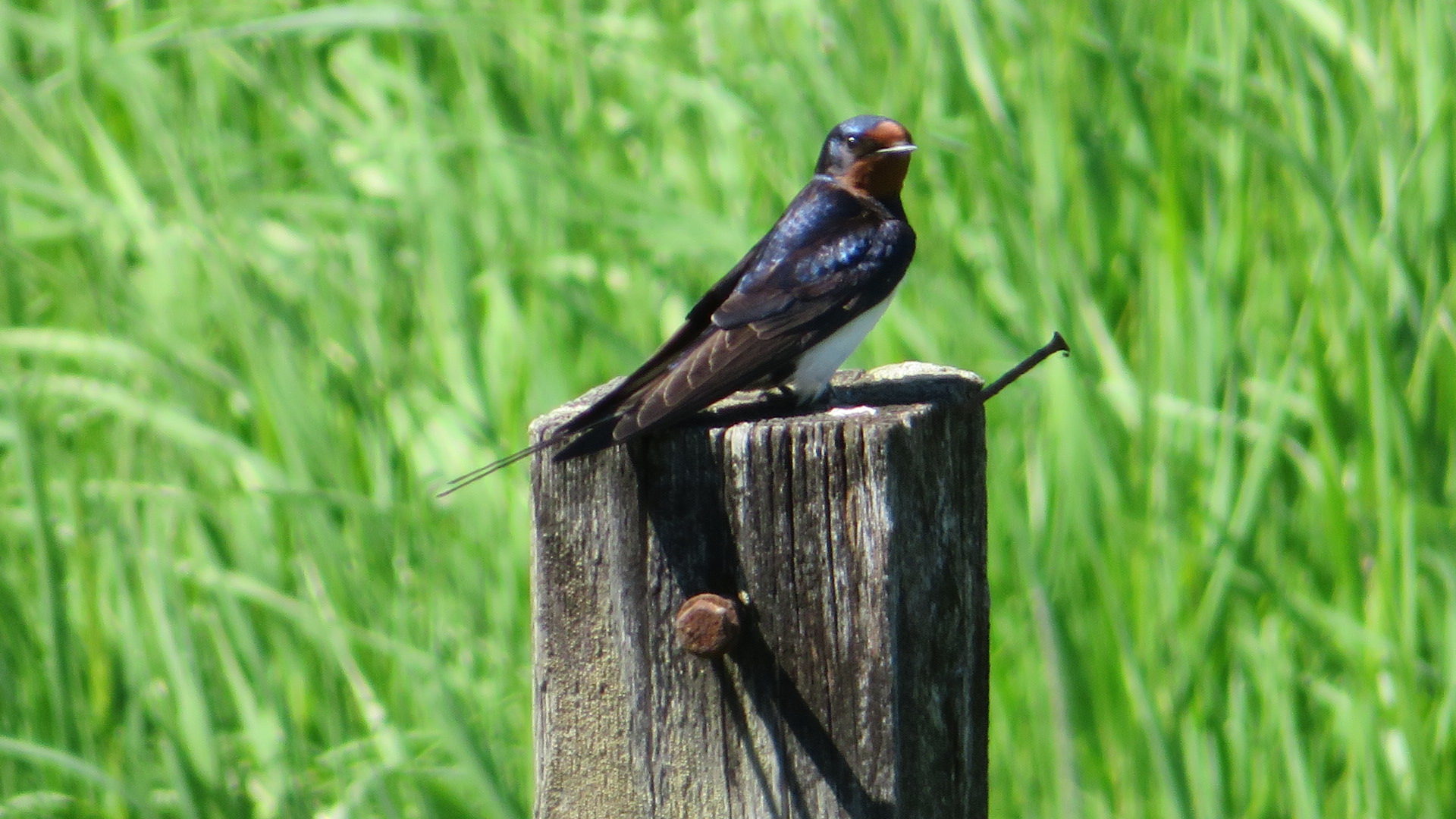 Valokuvaaja: Risto Kangassalo Valokuvaaja: Risto Kangassalo