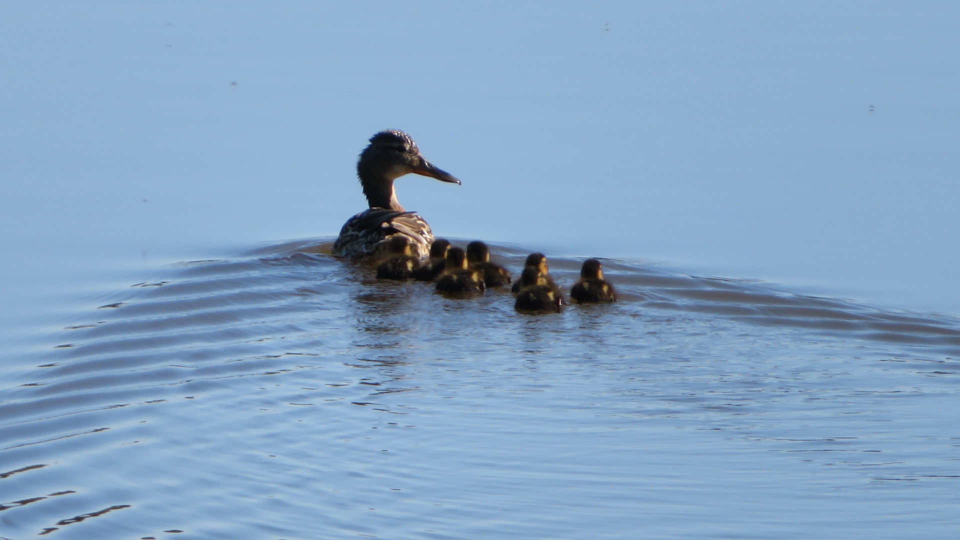 Valokuvaaja: Risto Kangassalo
