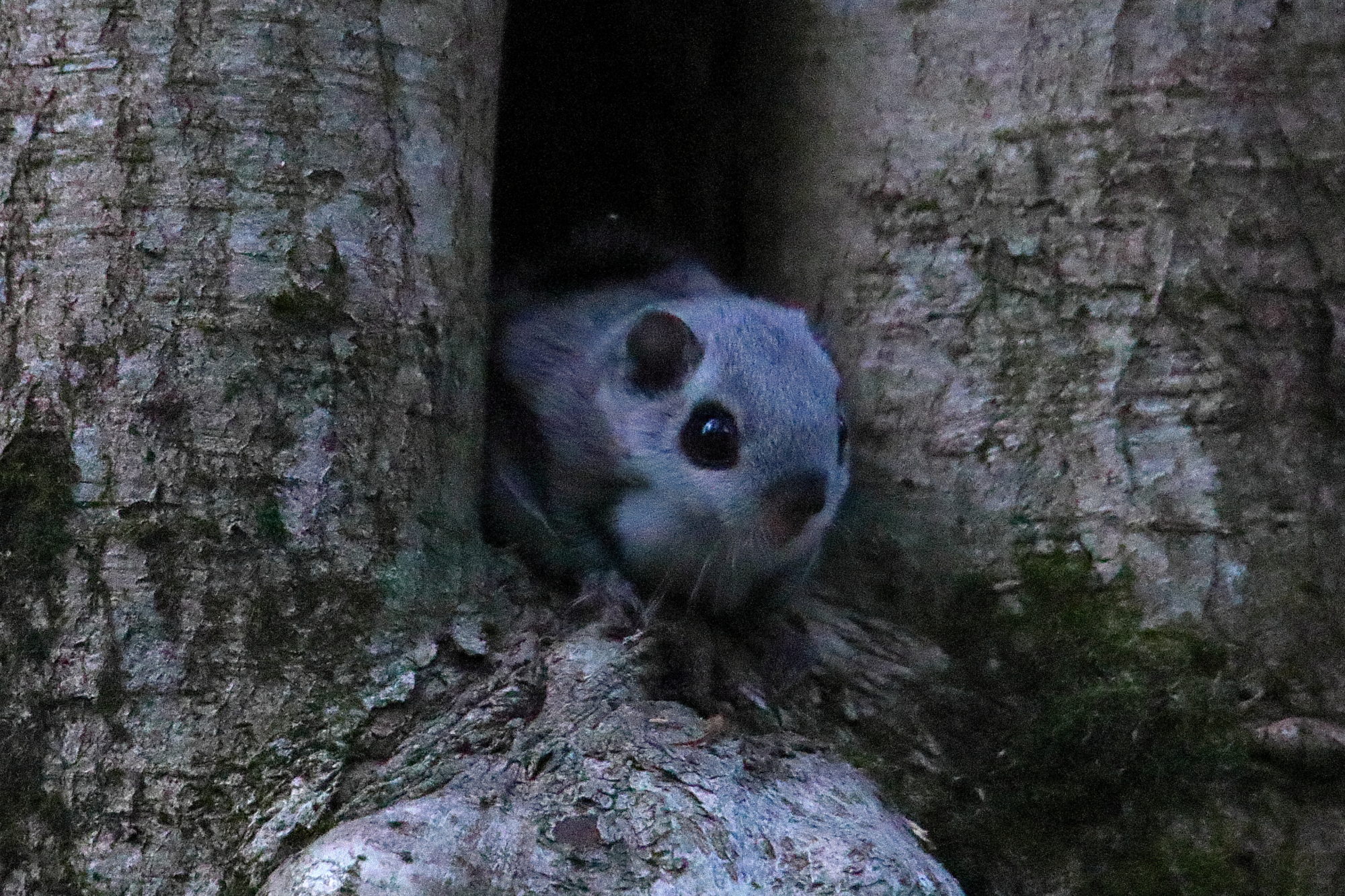 Valokuvaaja: Janne Salomeri