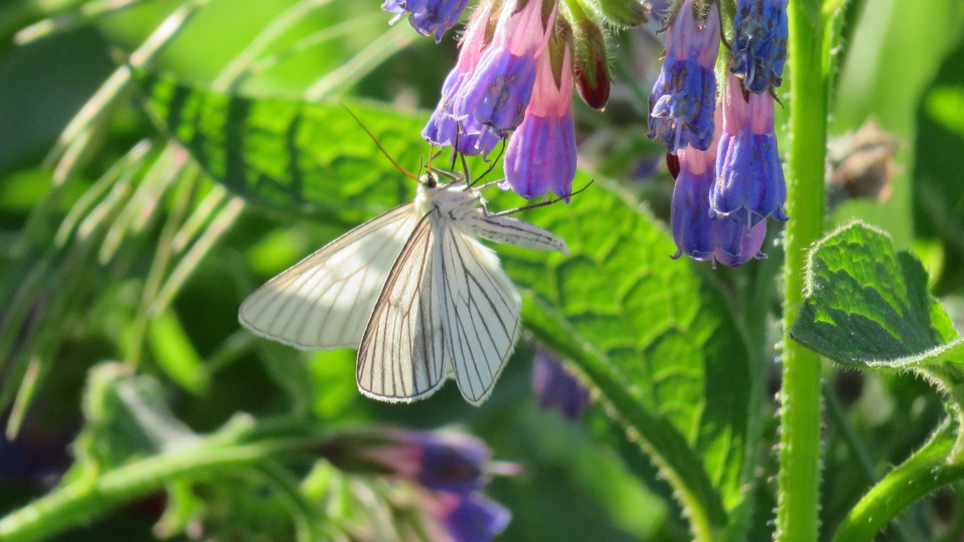 Valokuvaaja: Risto Kangassalo