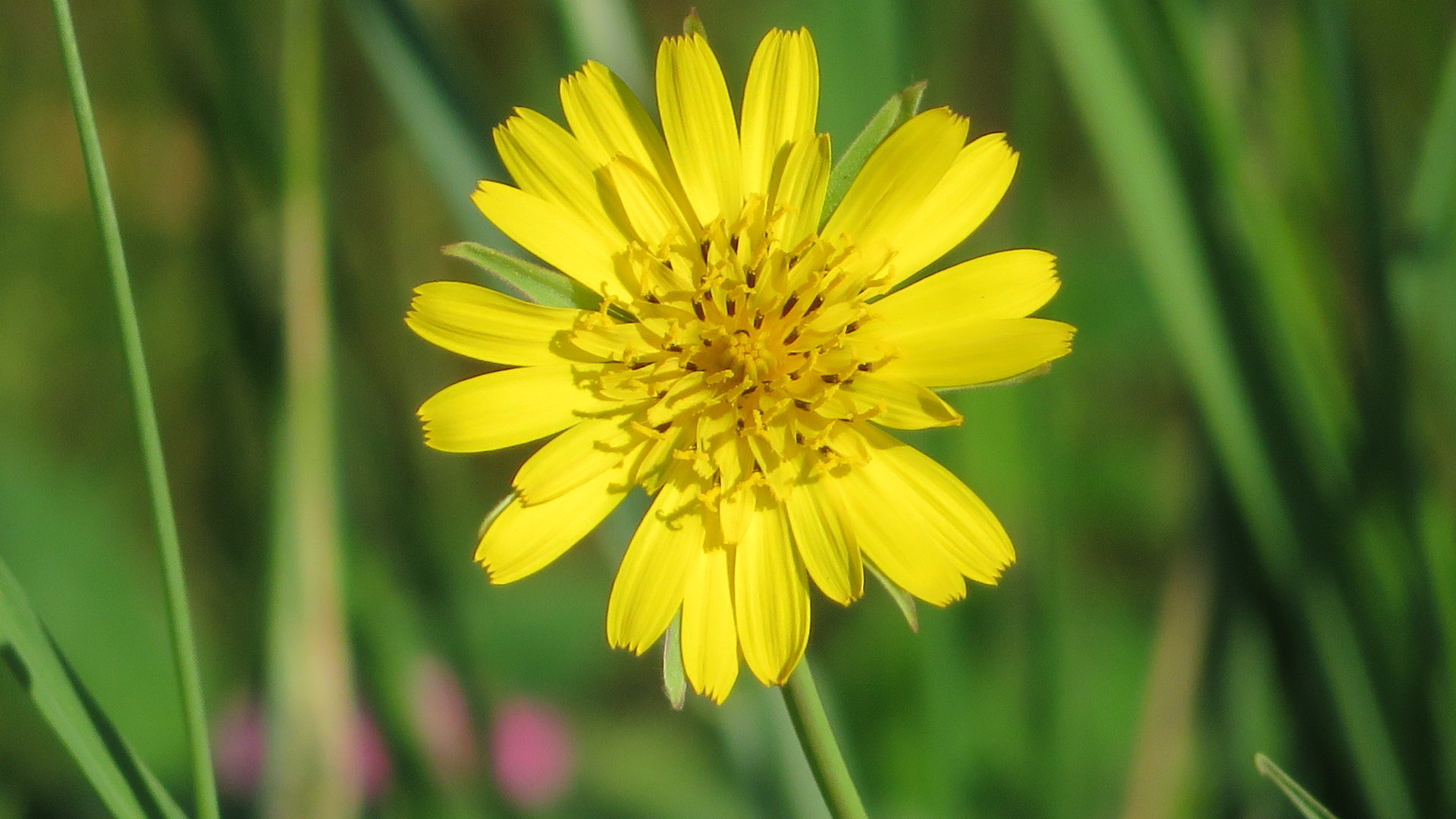 Valokuvaaja: Risto Kangassalo