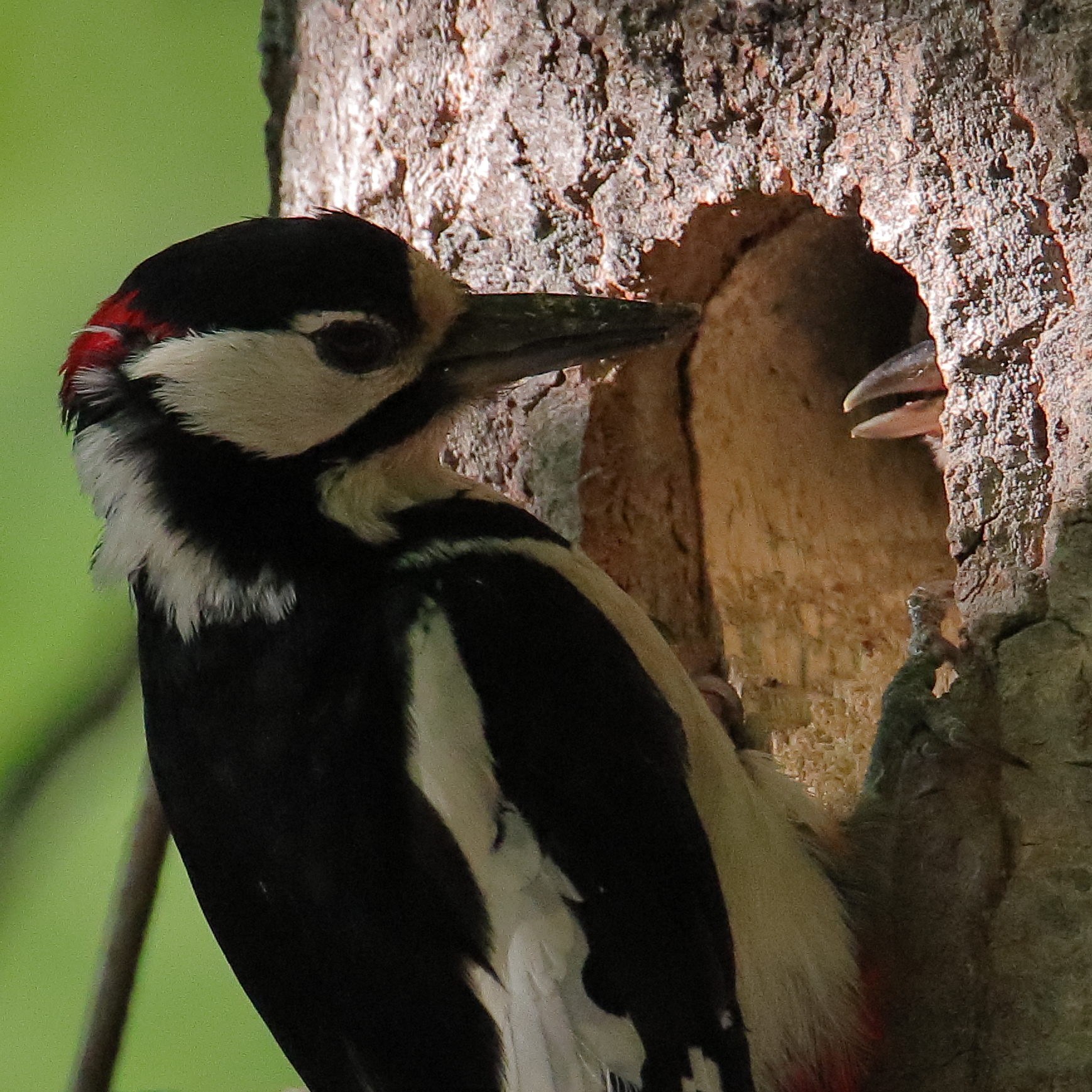 Valokuvaaja: Janne Salomeri