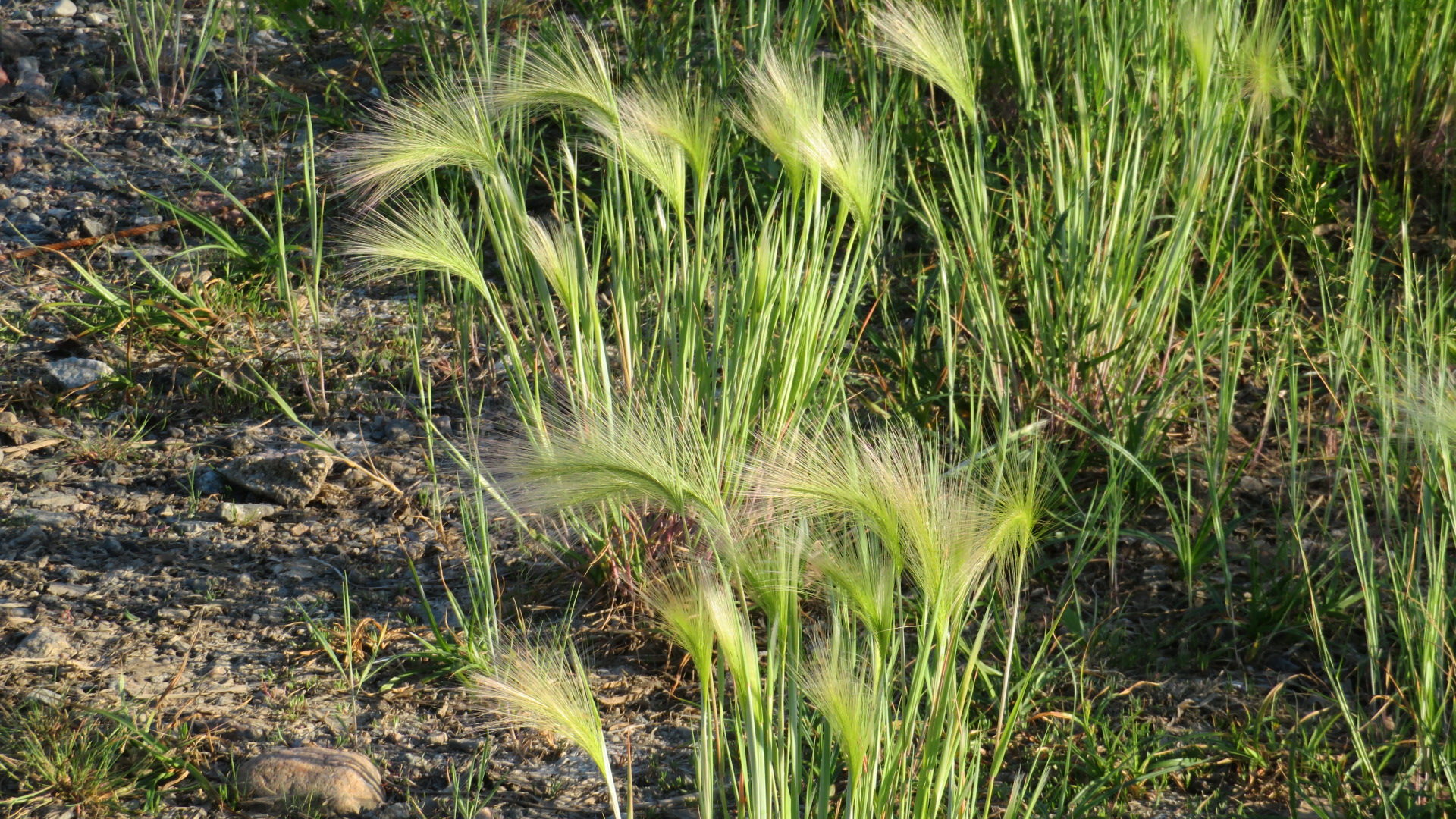 Valokuvaaja: Risto Kangassalo