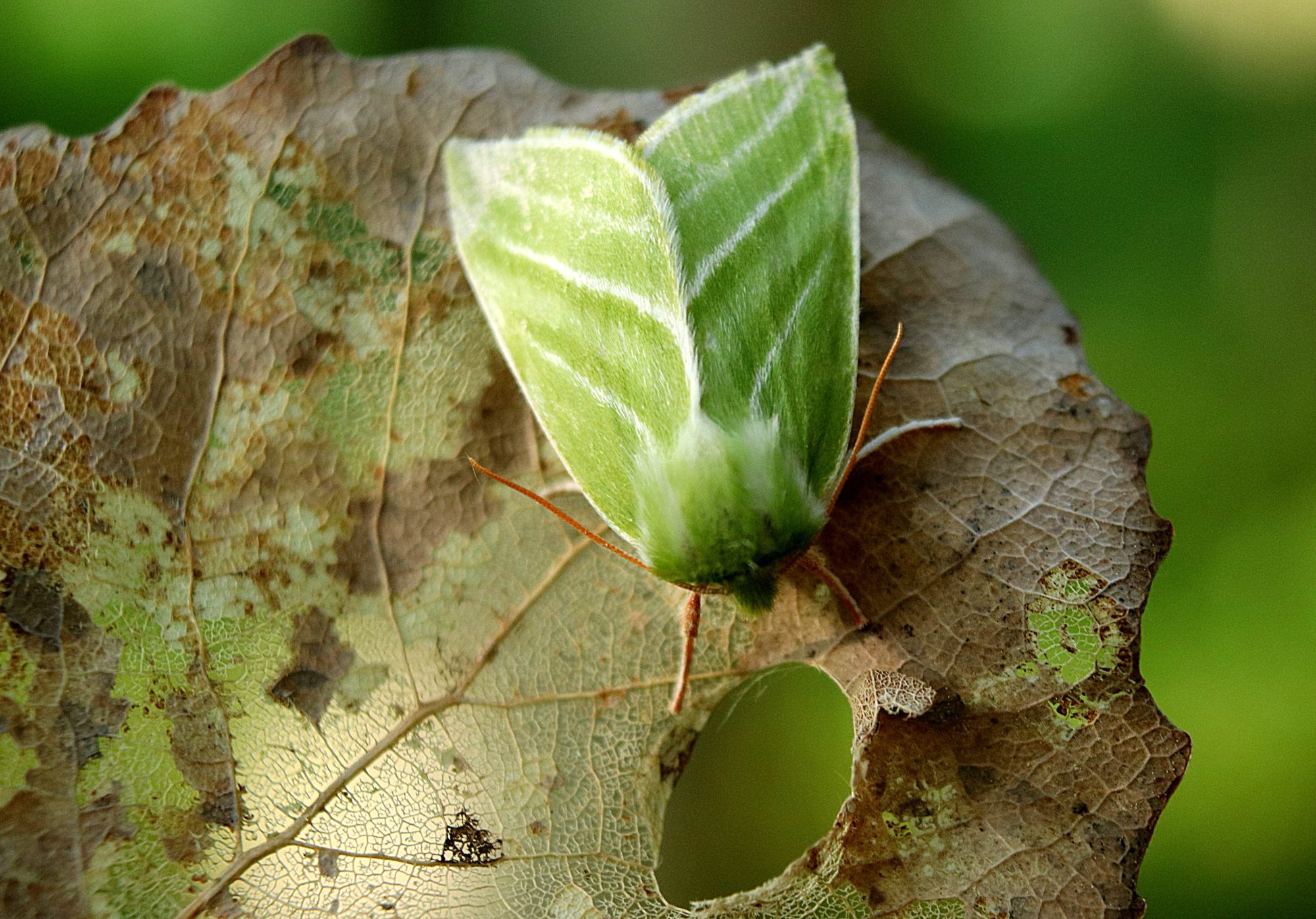 Valokuvaaja: Irja Lehtinen