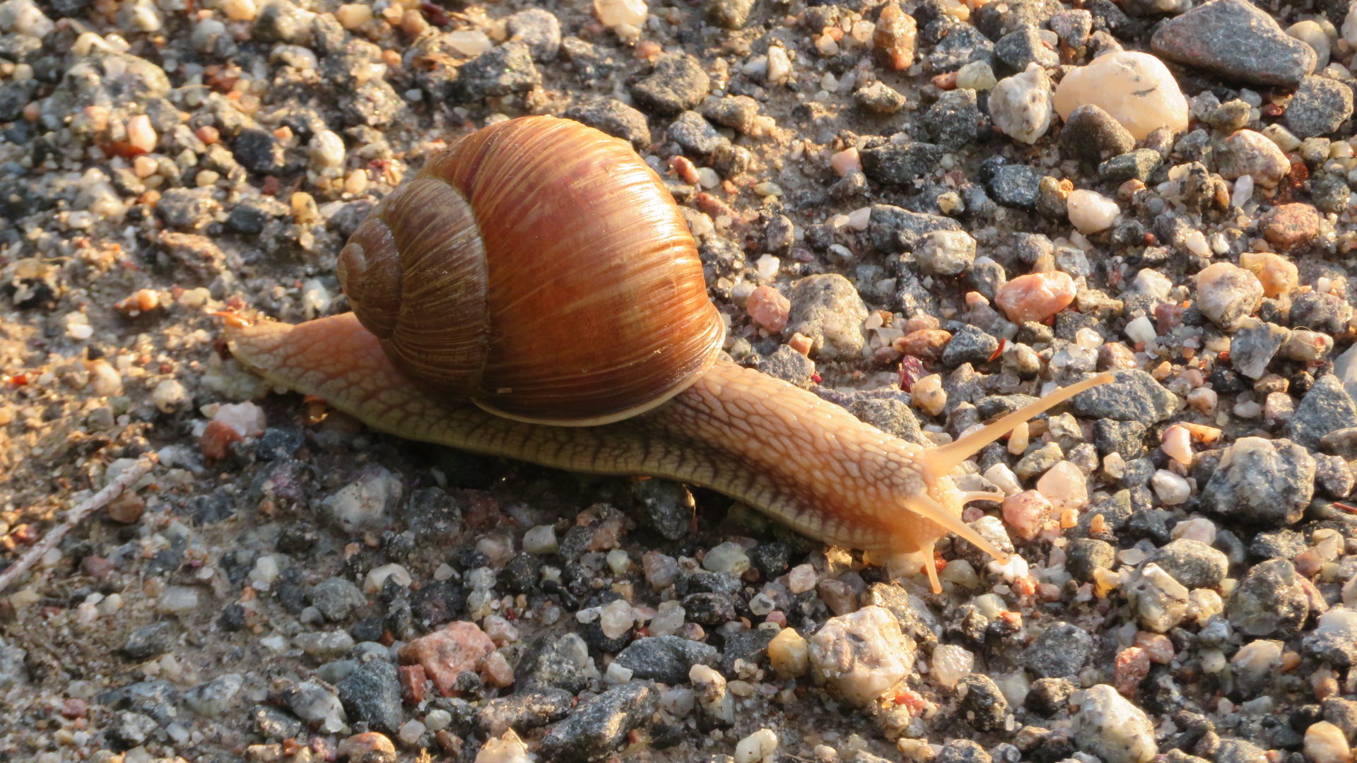 Valokuvaaja: Risto Kangassalo