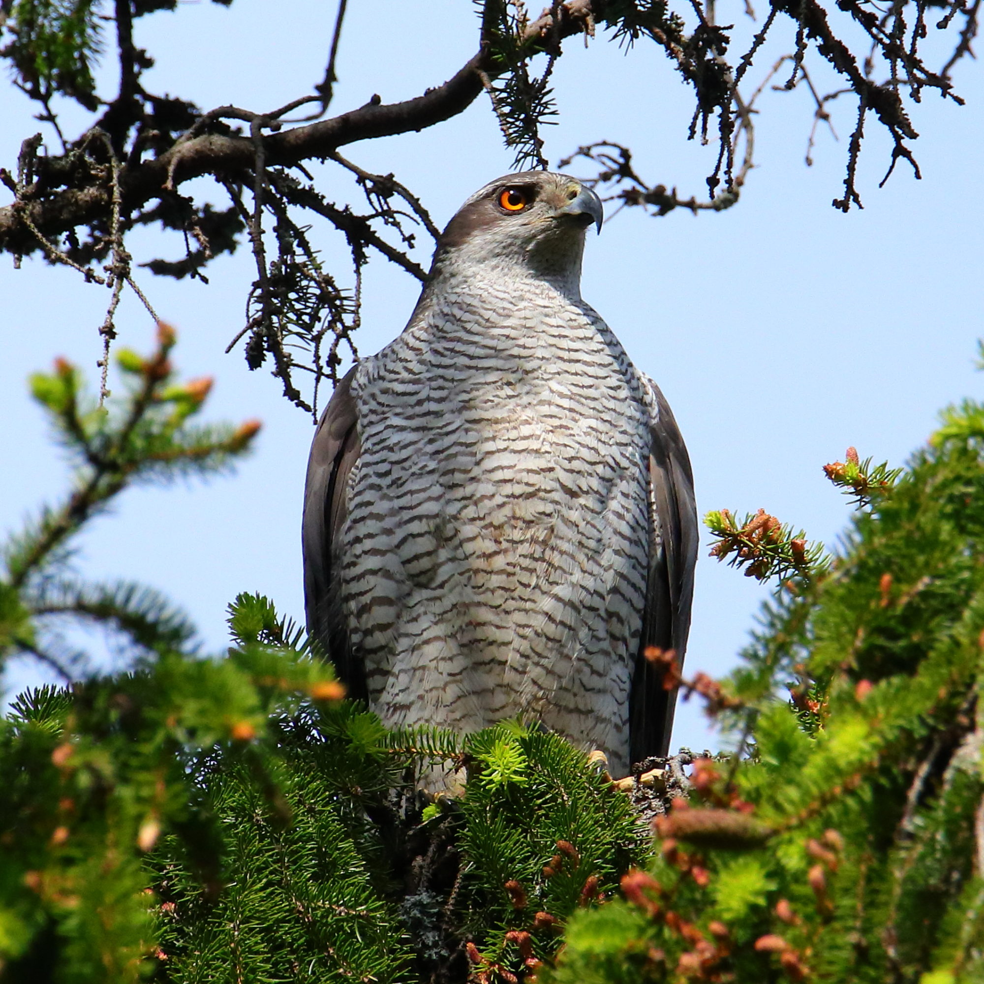 Valokuvaaja: Janne Salomeri