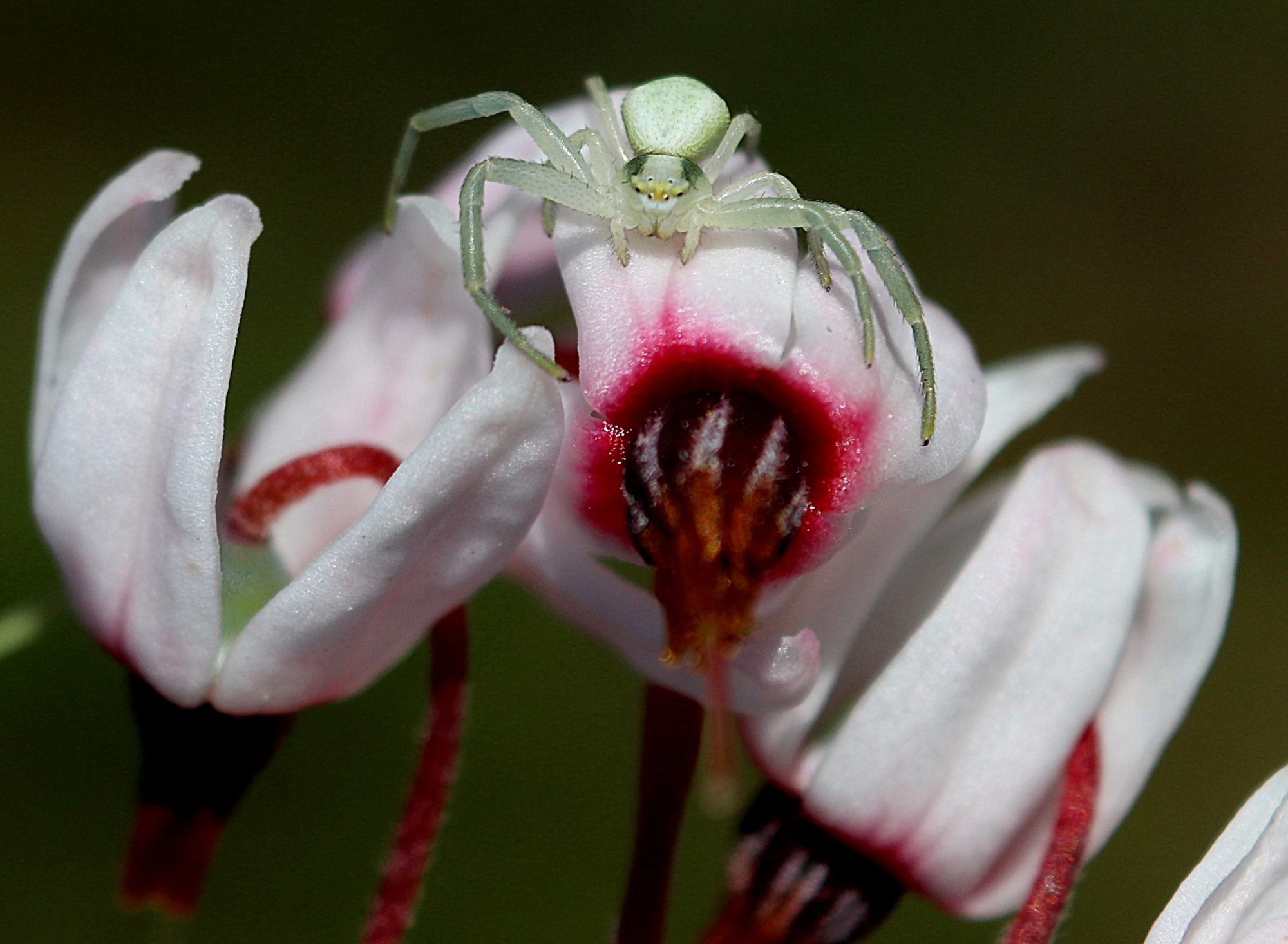 Valokuvaaja: Irja Lehtinen
