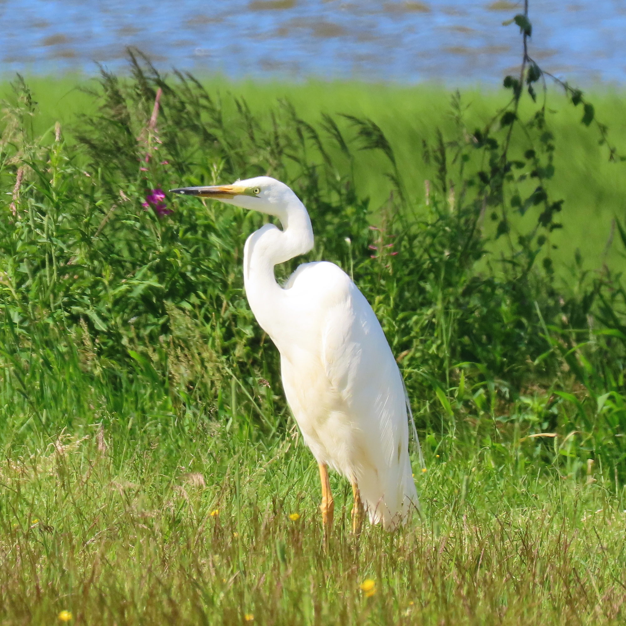 Valokuvaaja: MIKKO KUJALA Valokuvaaja: MIKKO KUJALA