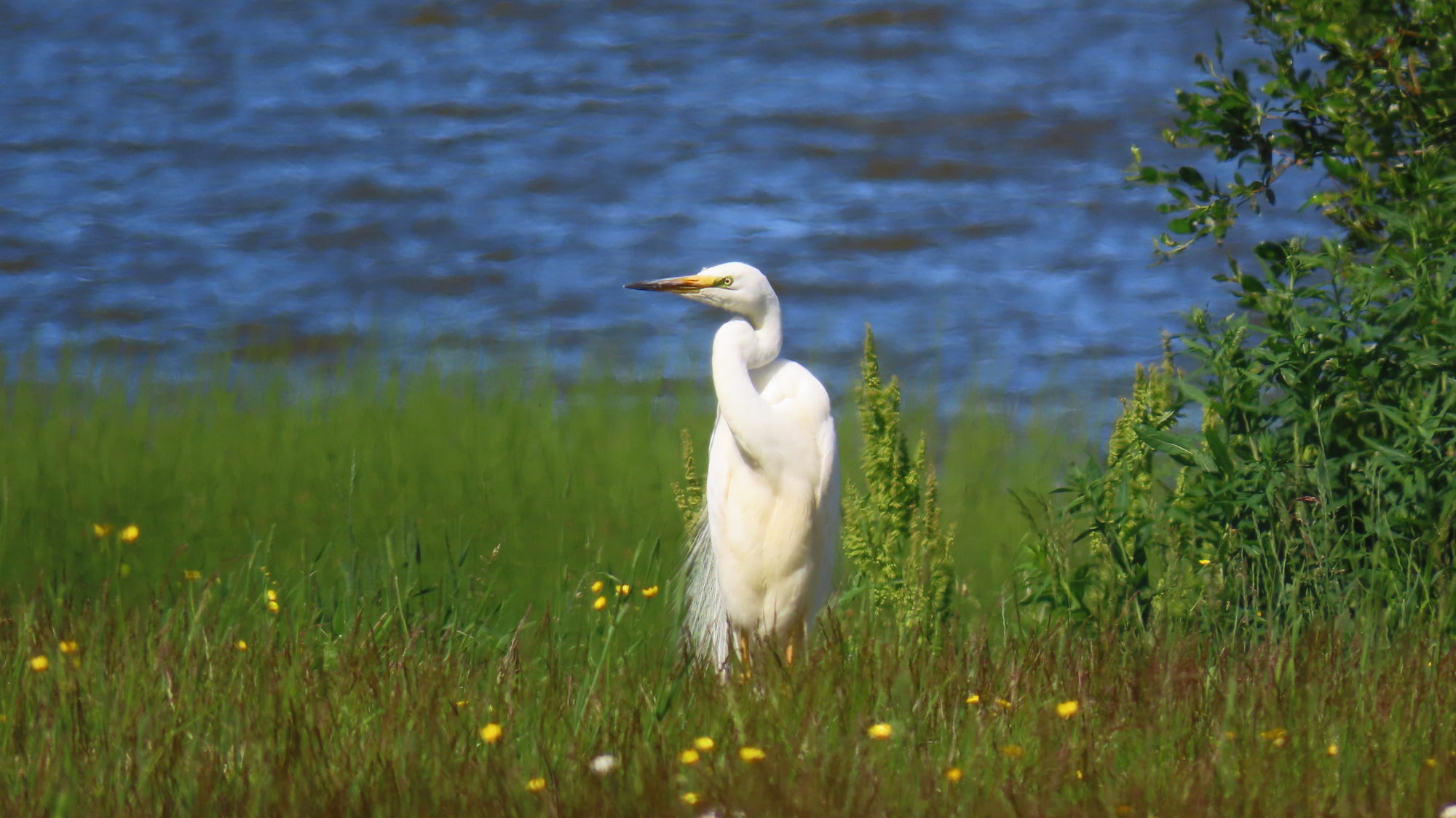 Valokuvaaja: MIKKO KUJALA
