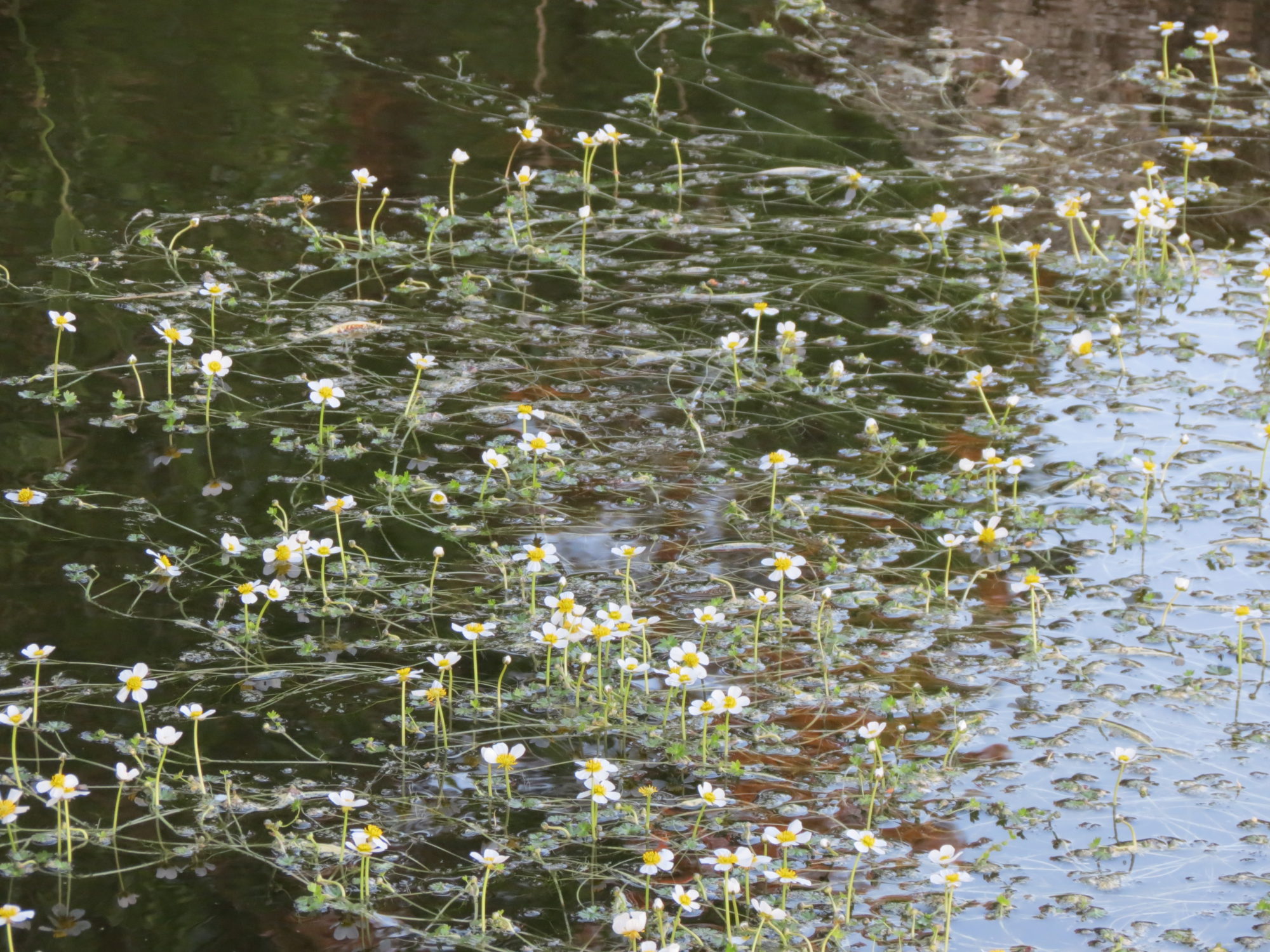 Valokuvaaja: Elina Vuorimaa-Laukkanen