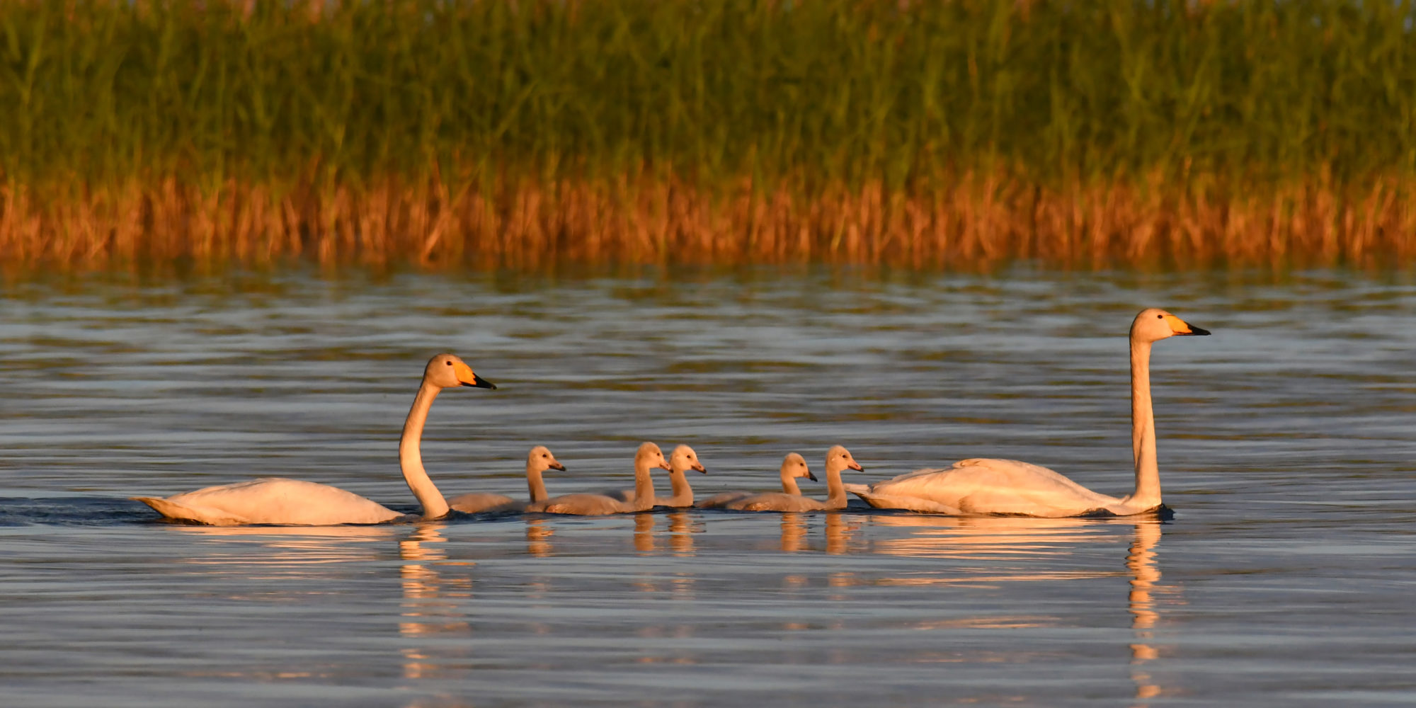 Valokuvaaja: Matti Manninen
