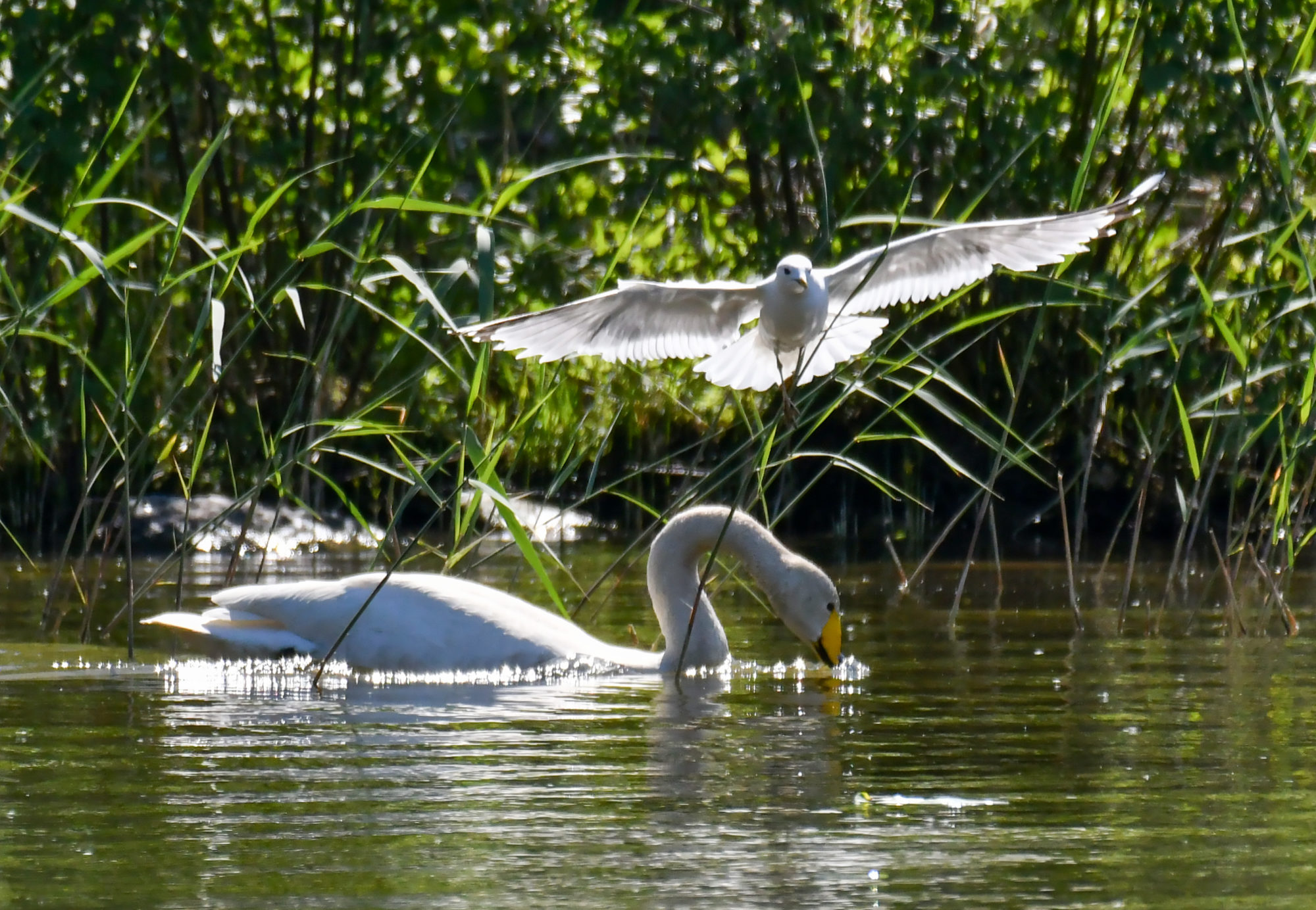 Valokuvaaja: Matti Manninen