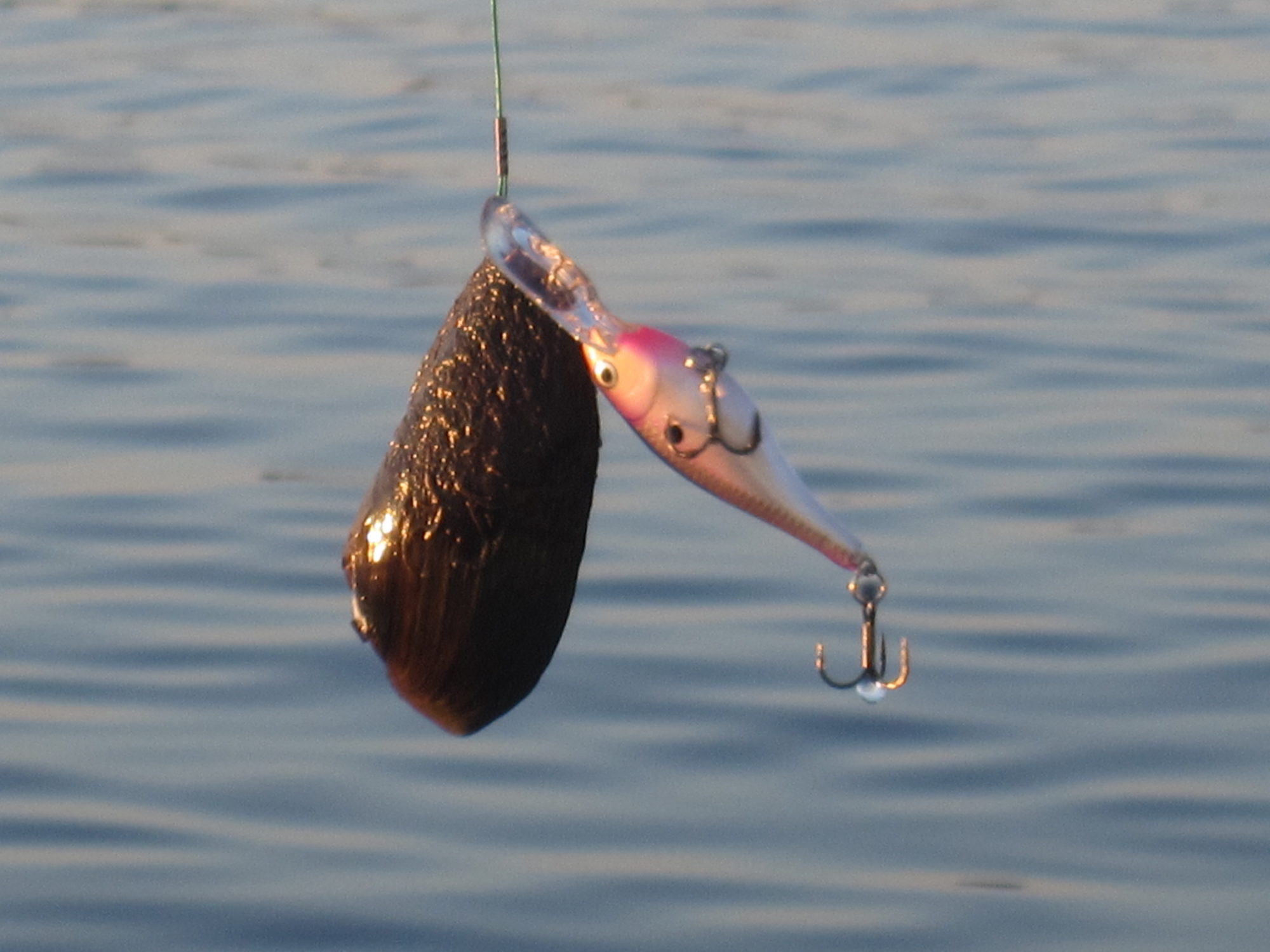 Valokuvaaja: Marita Portin