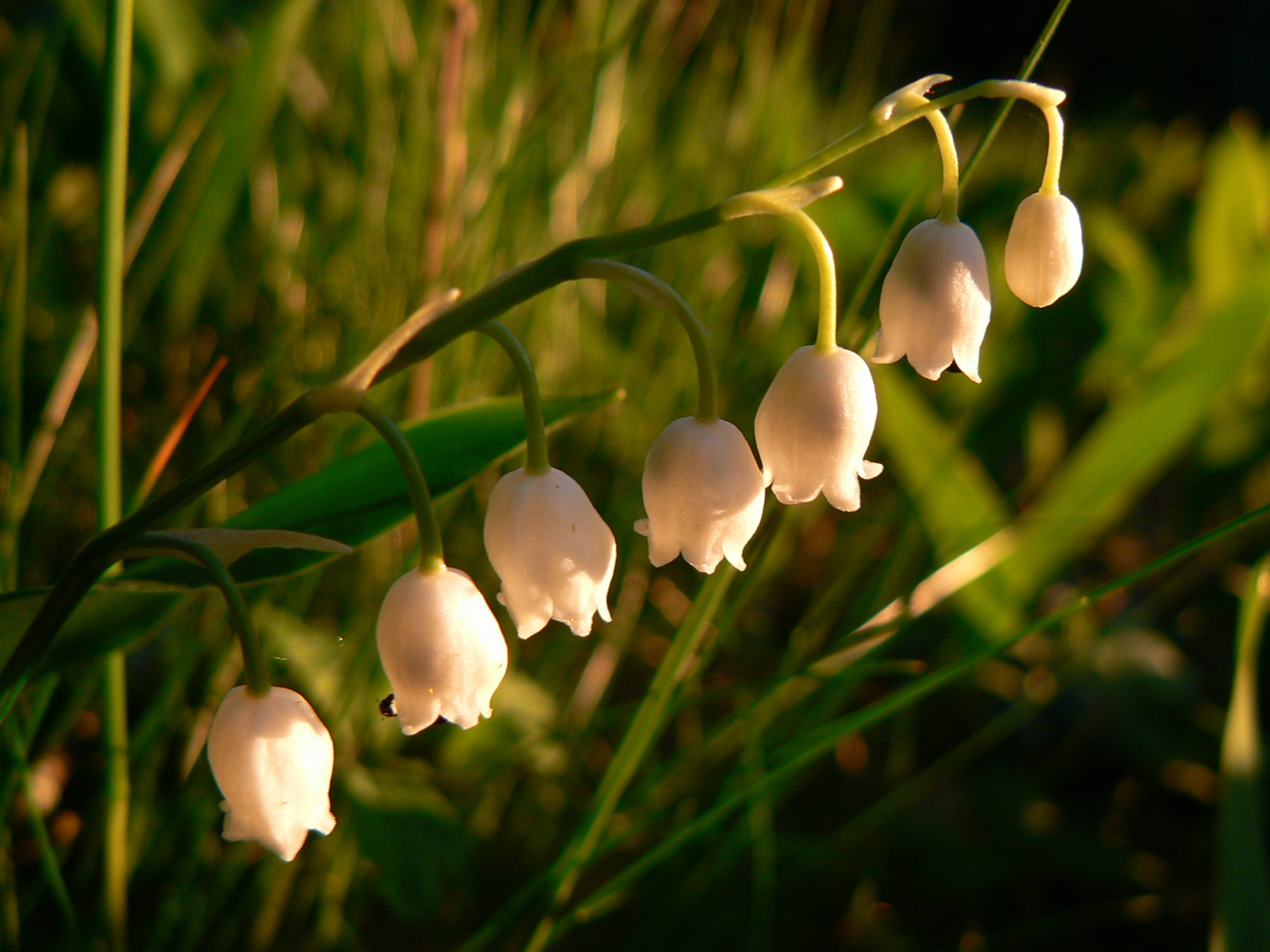 Valokuvaaja: Pekka Heino