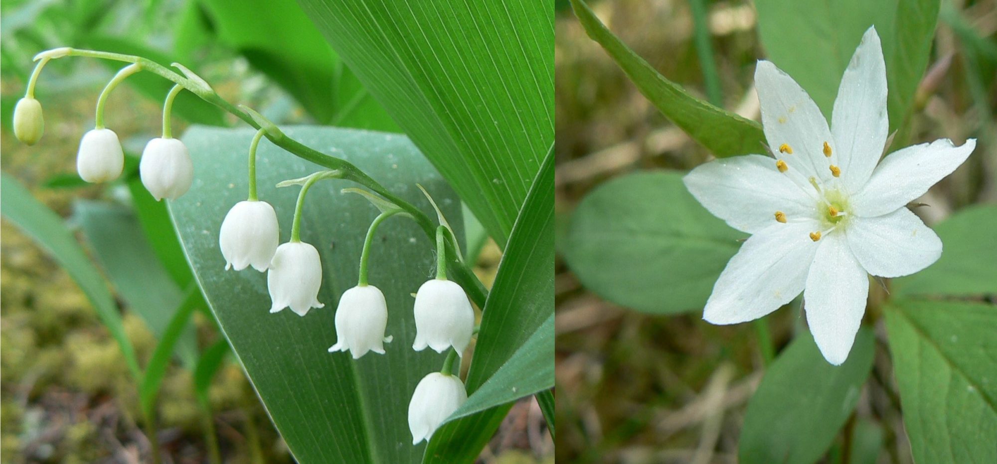Valokuvaaja: Pekka Heino