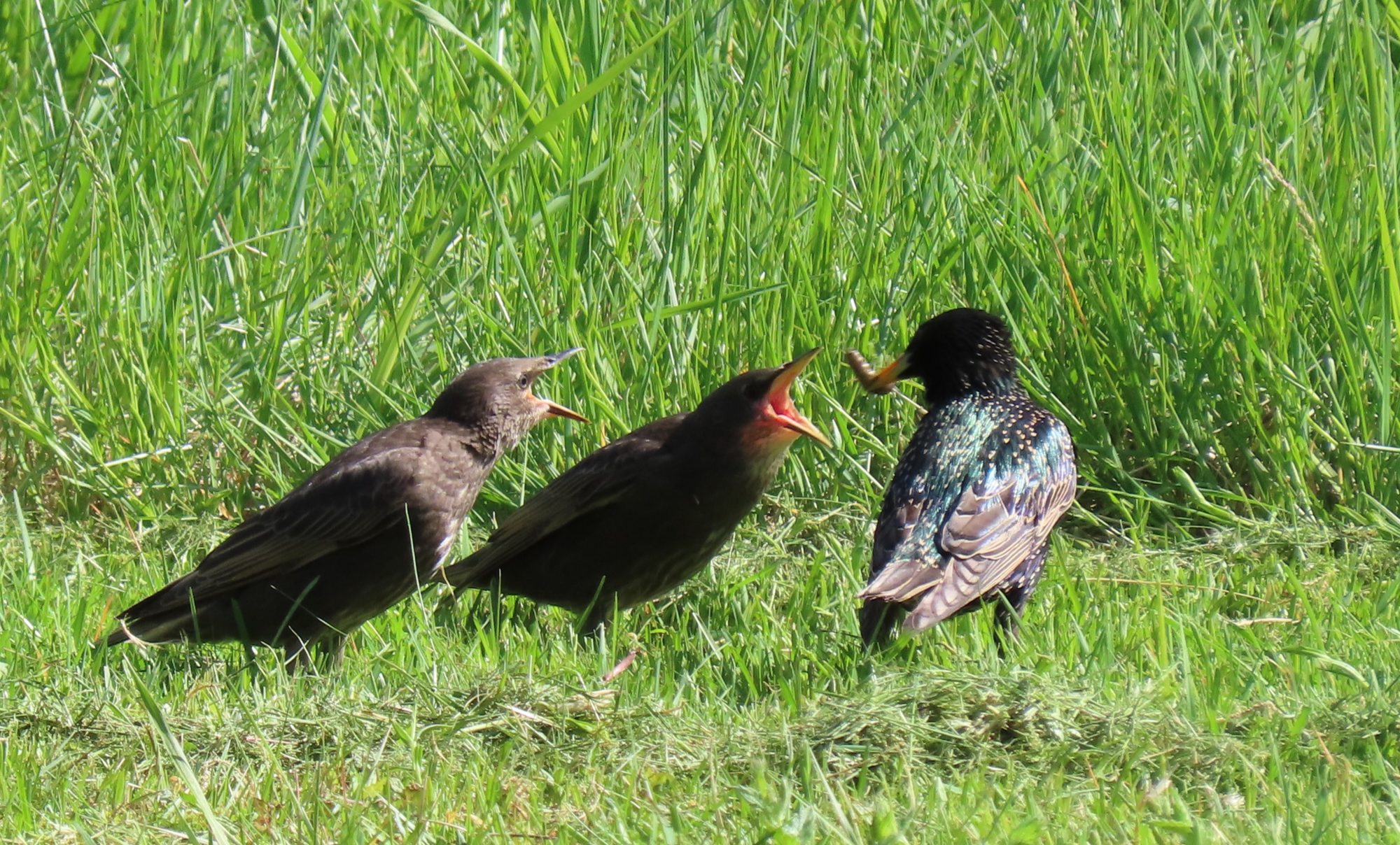 Valokuvaaja: Leena Sorvali