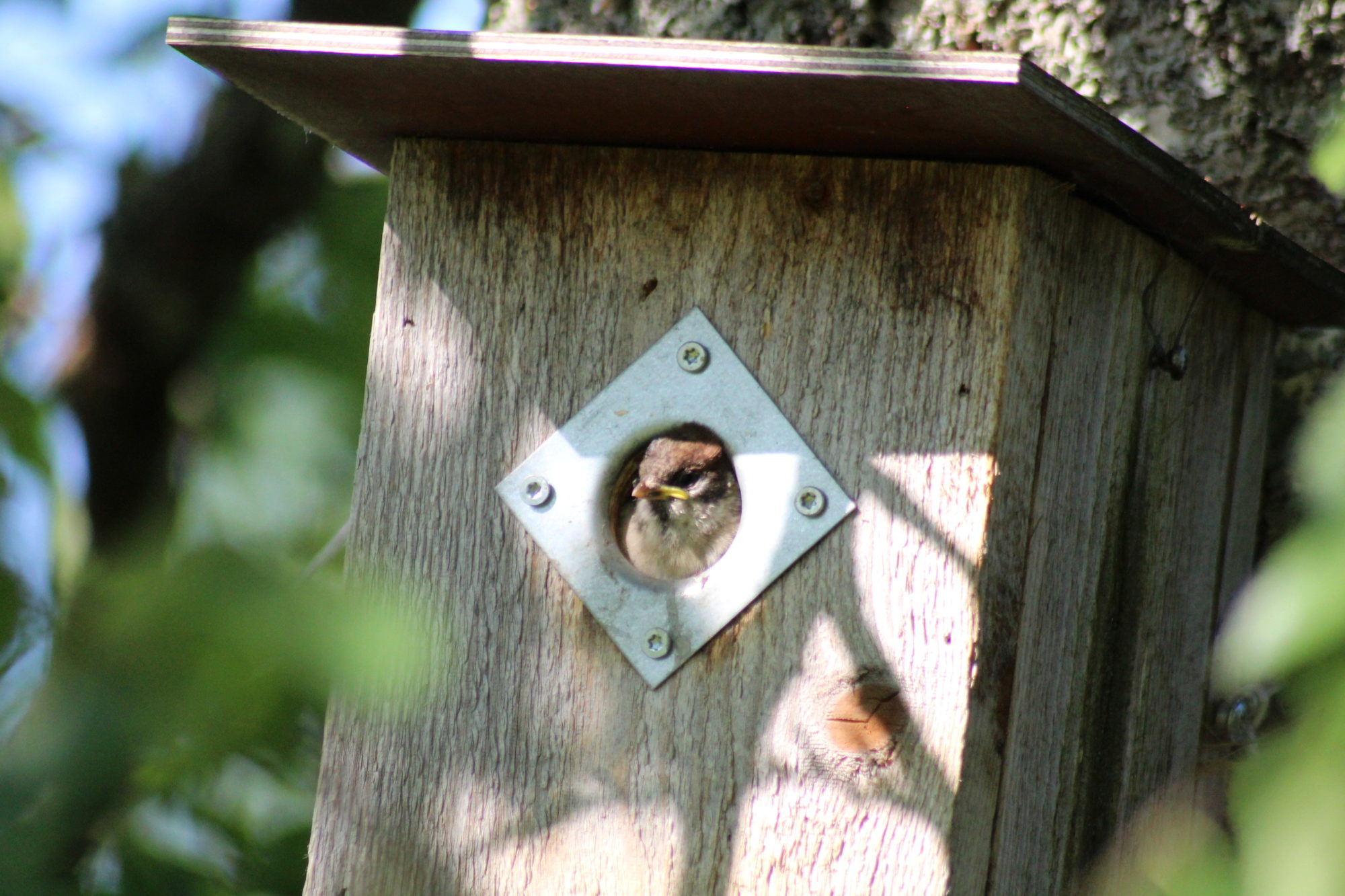 Valokuvaaja: Kaarlo Asikainen