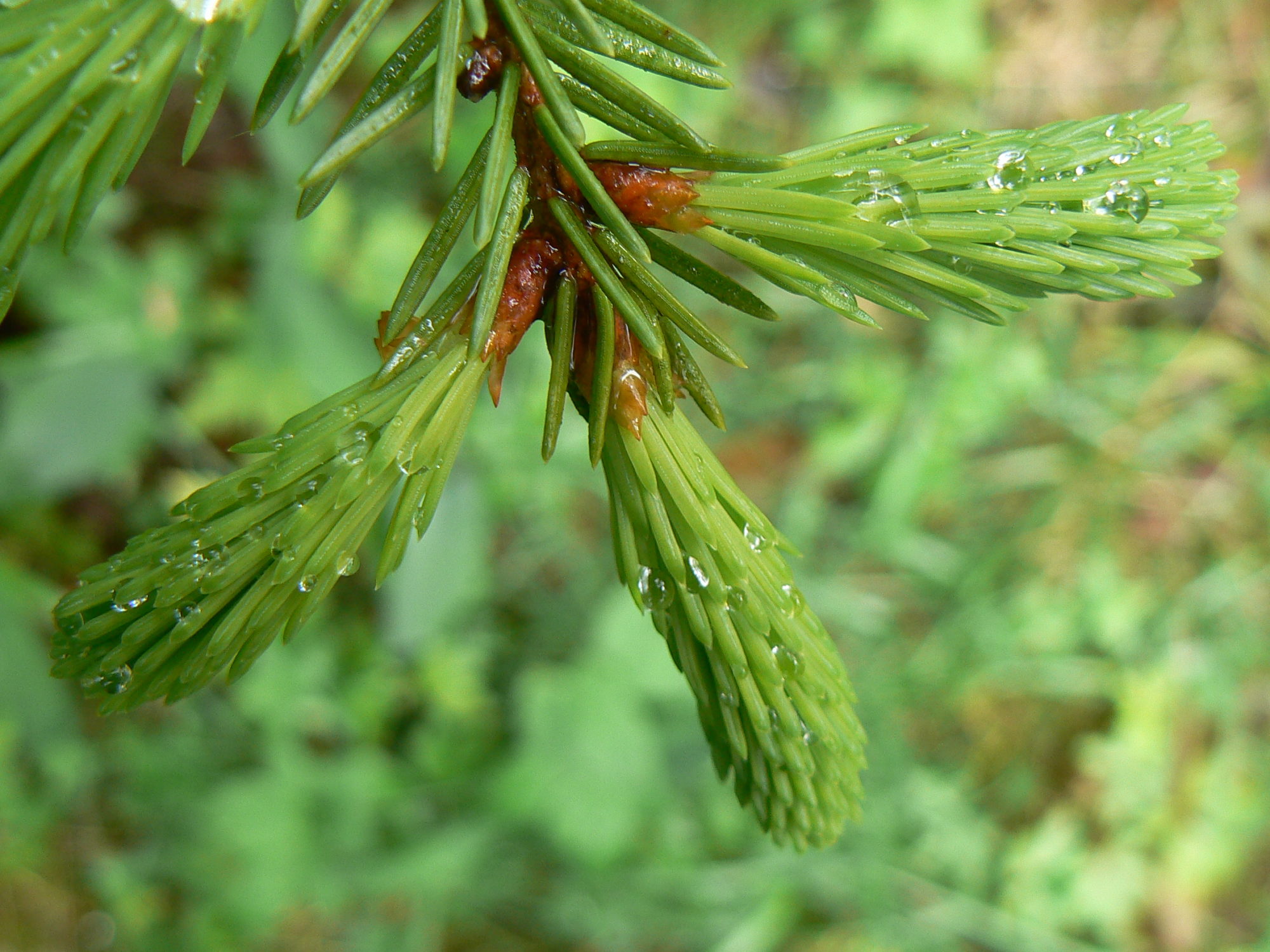 Valokuvaaja: Pekka Heino
