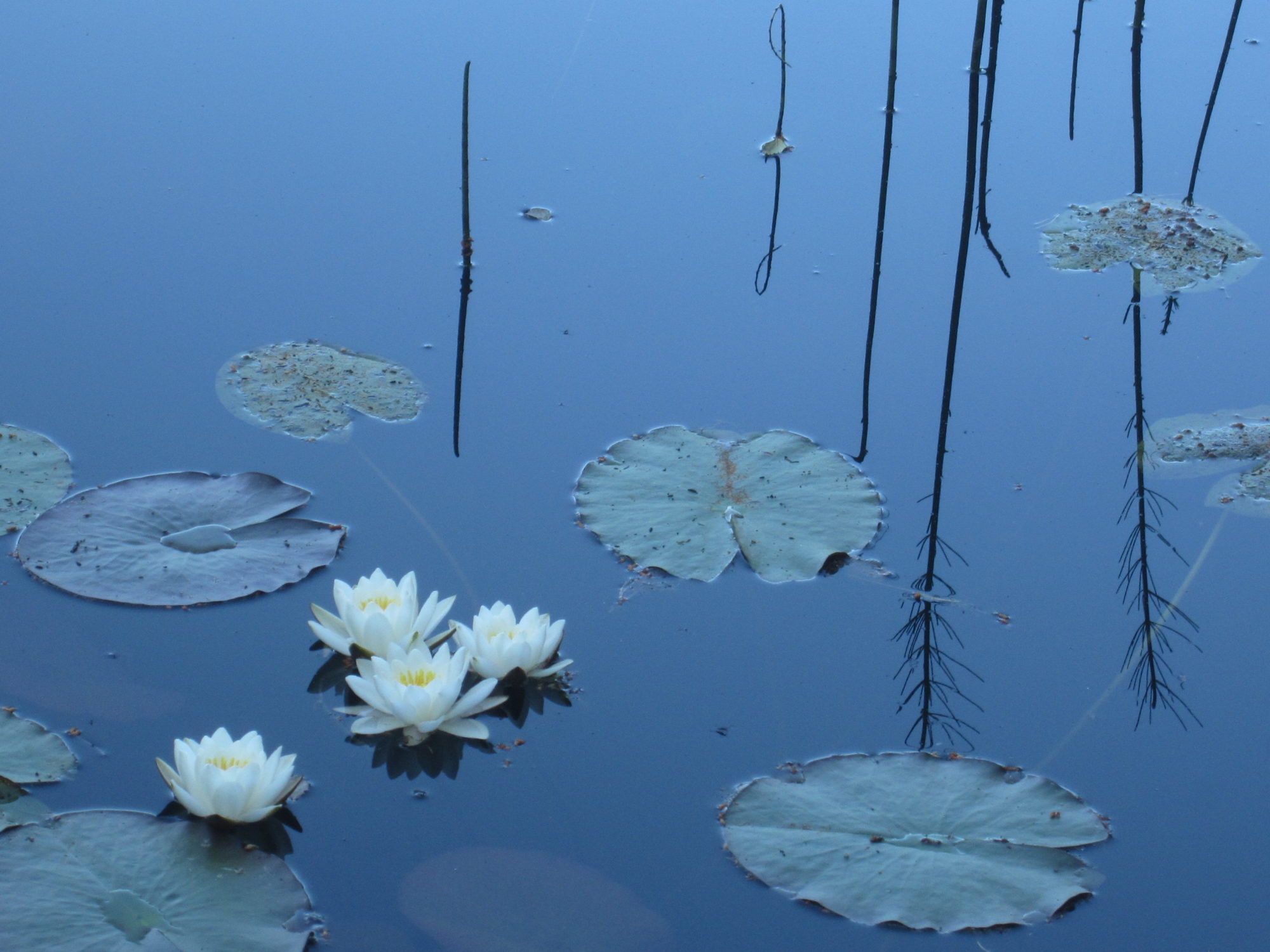 Valokuvaaja: Marita Portin