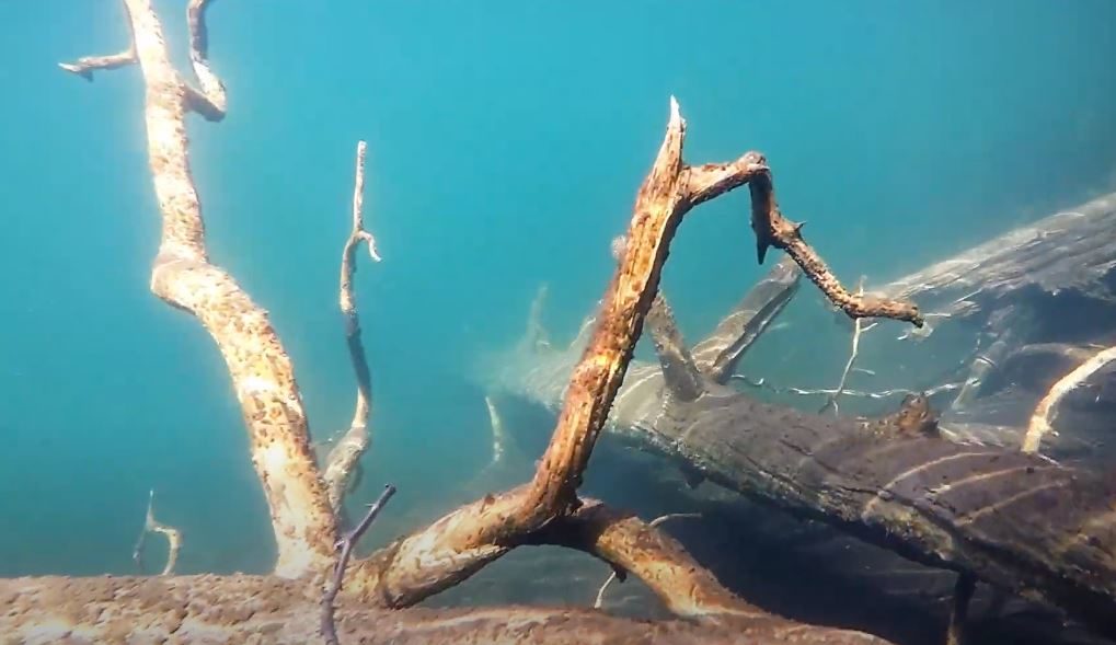 Valokuvaaja: Jasmin Khalef