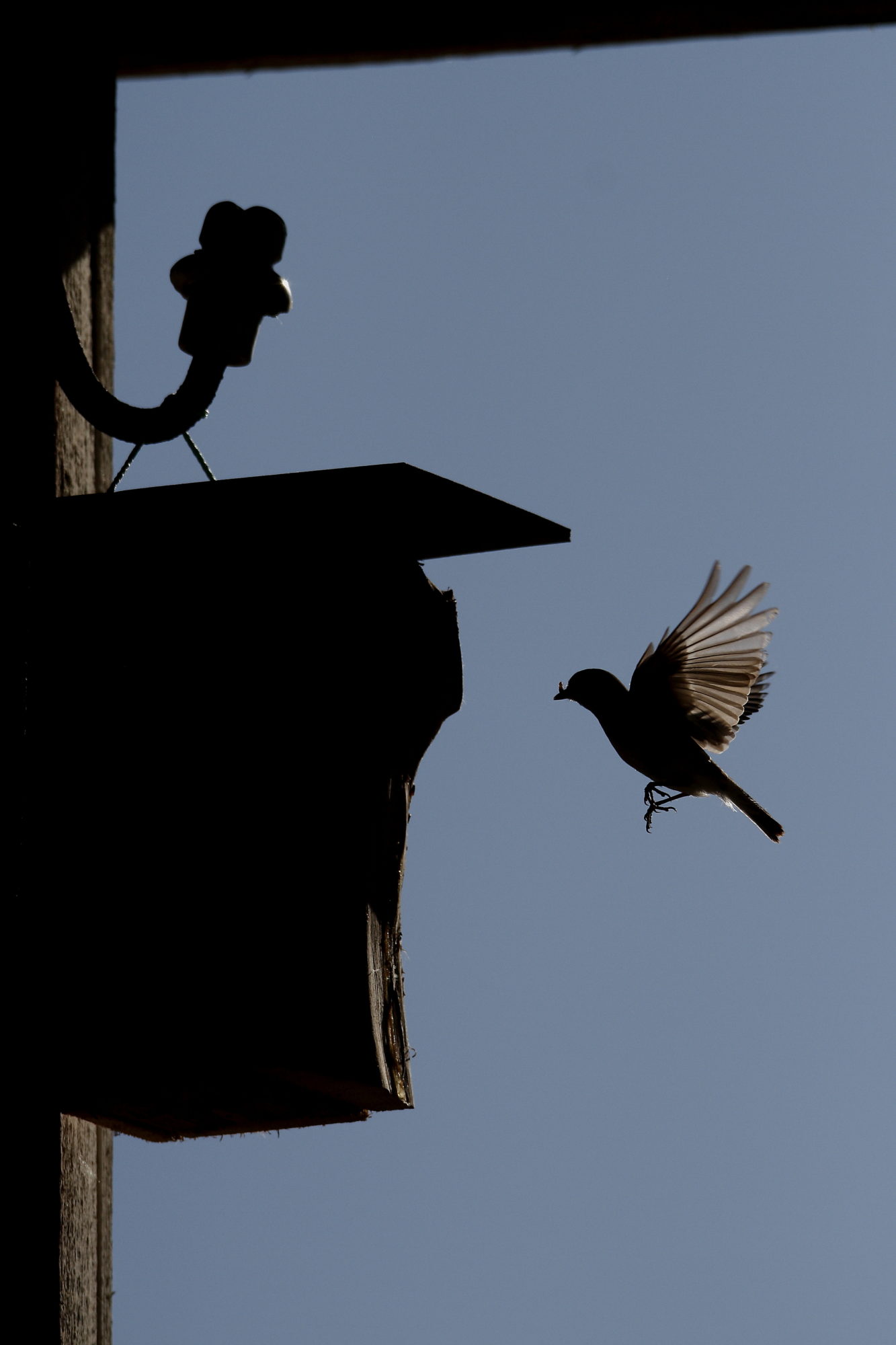 Valokuvaaja: Lasse Kokko