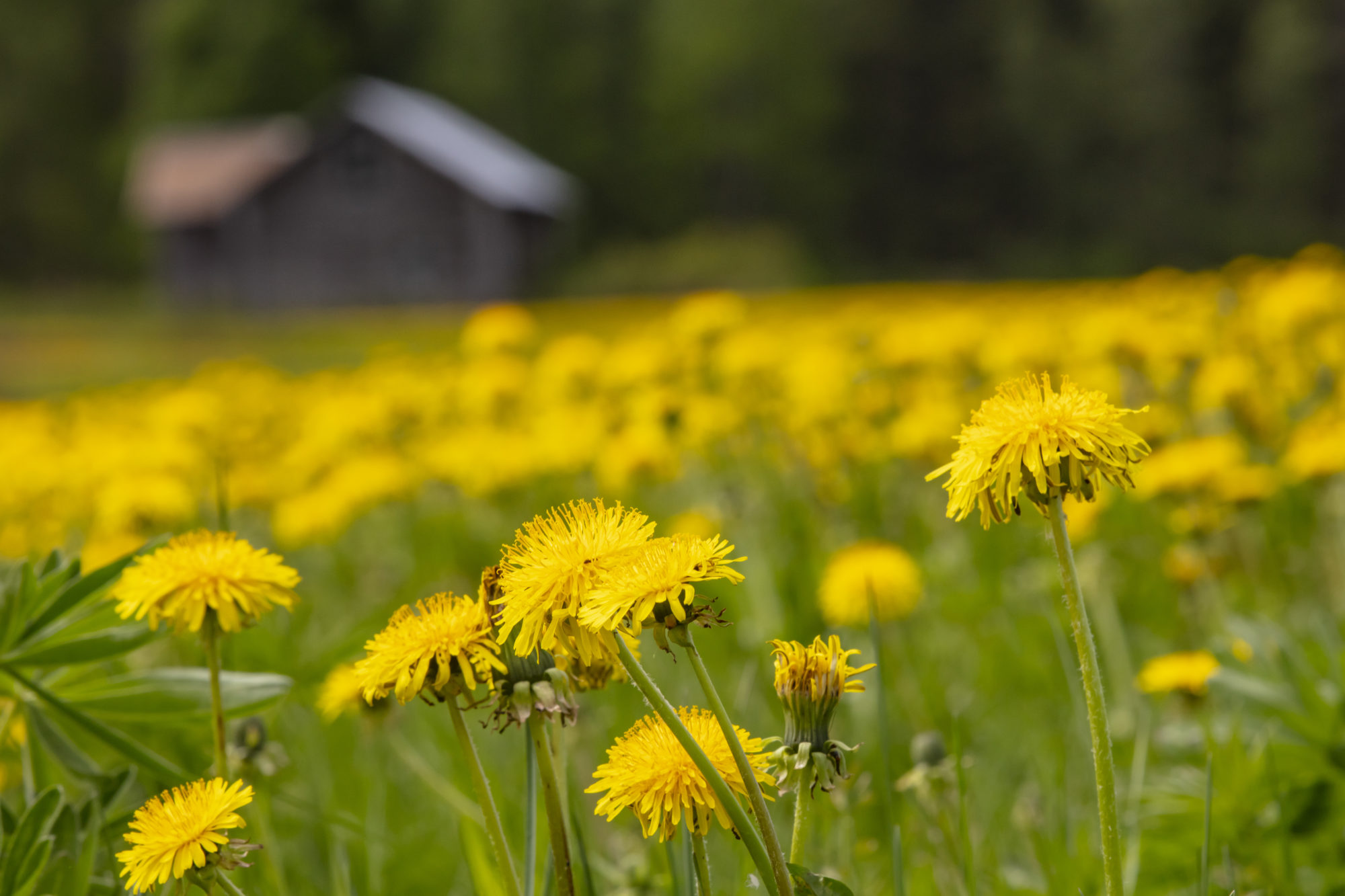Valokuvaaja: Antero Ohranen
