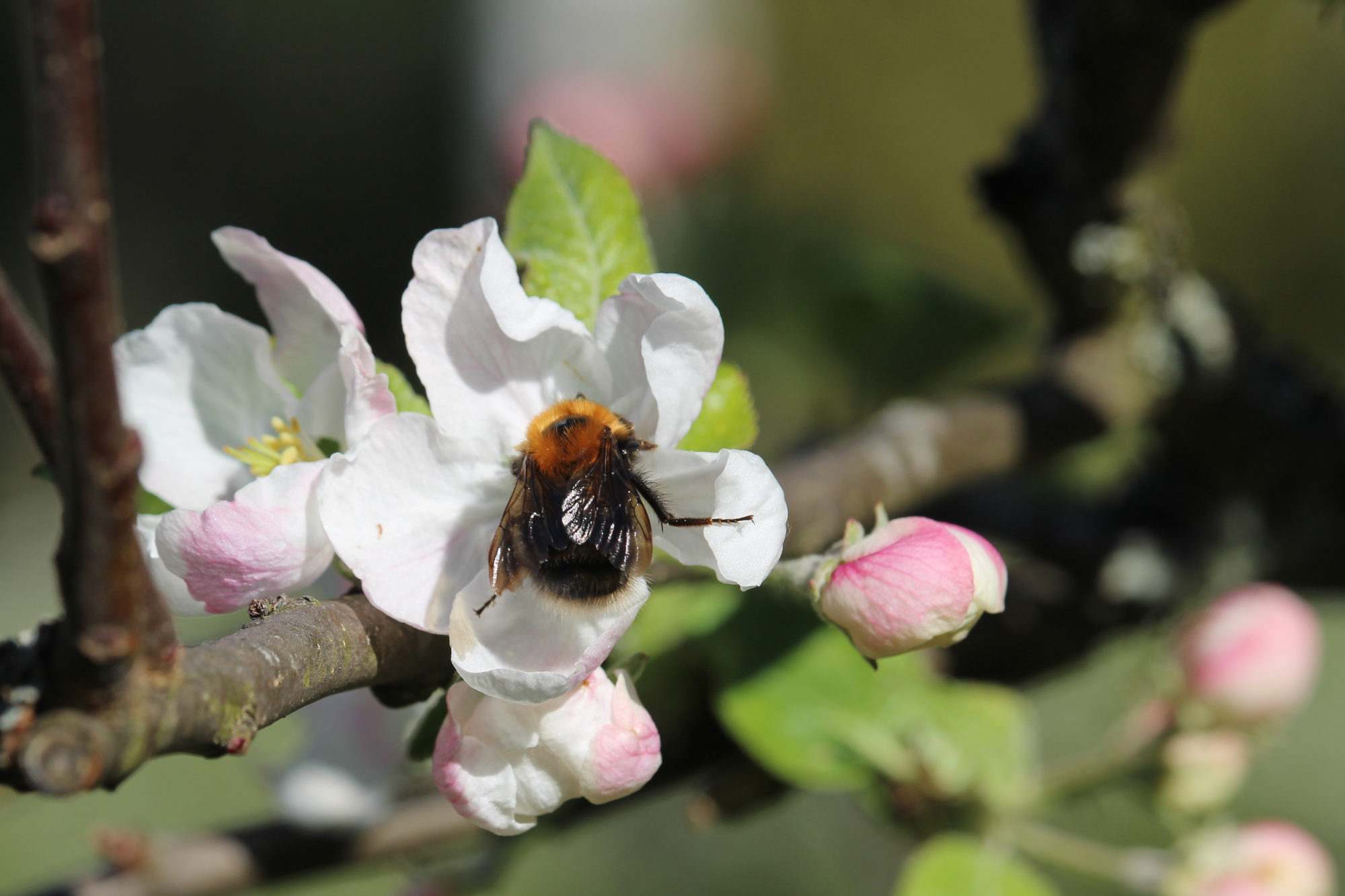 Valokuvaaja: Kirsi-Marja Joenpolvi