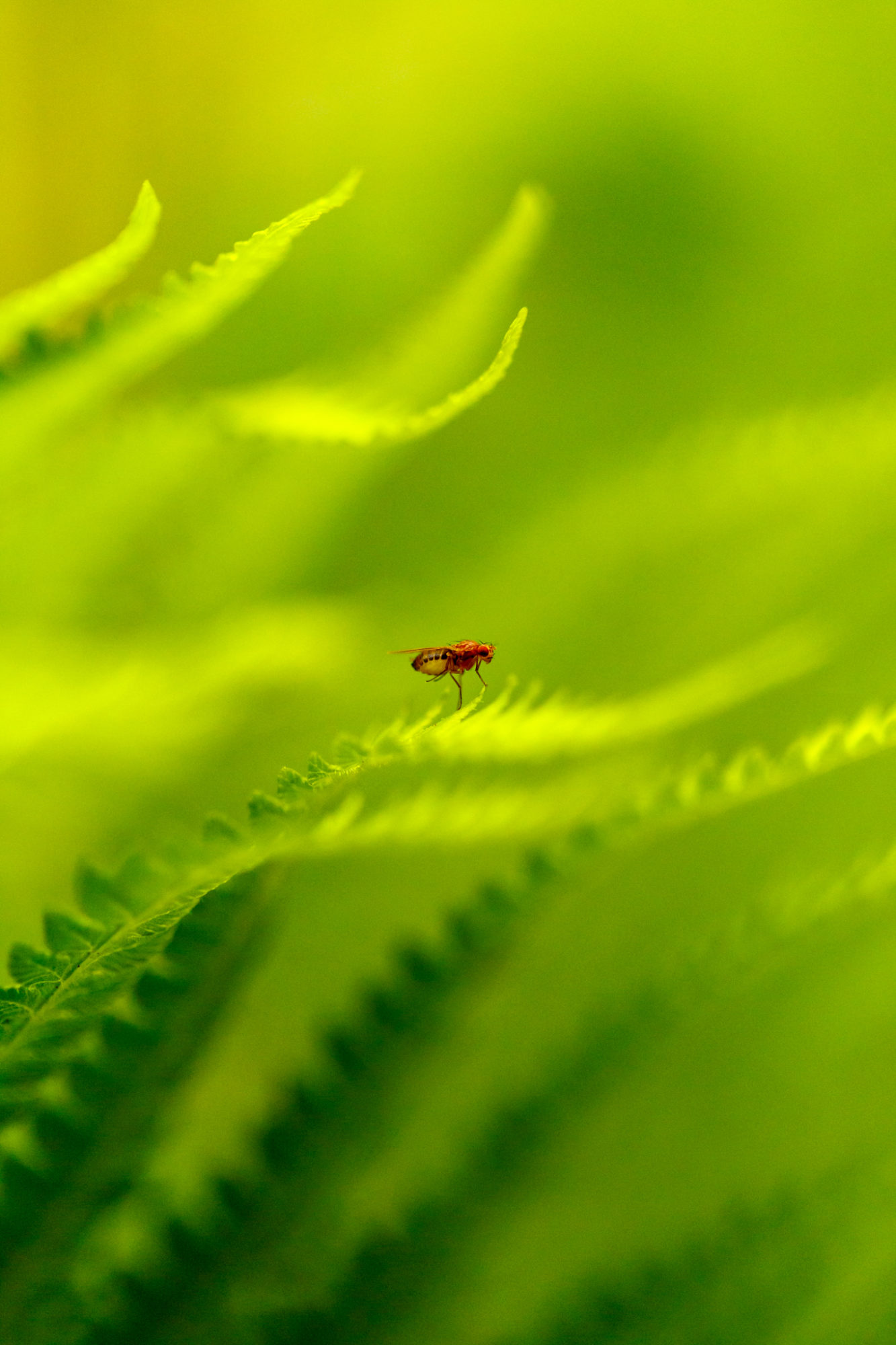 Valokuvaaja: Antti Toivanen