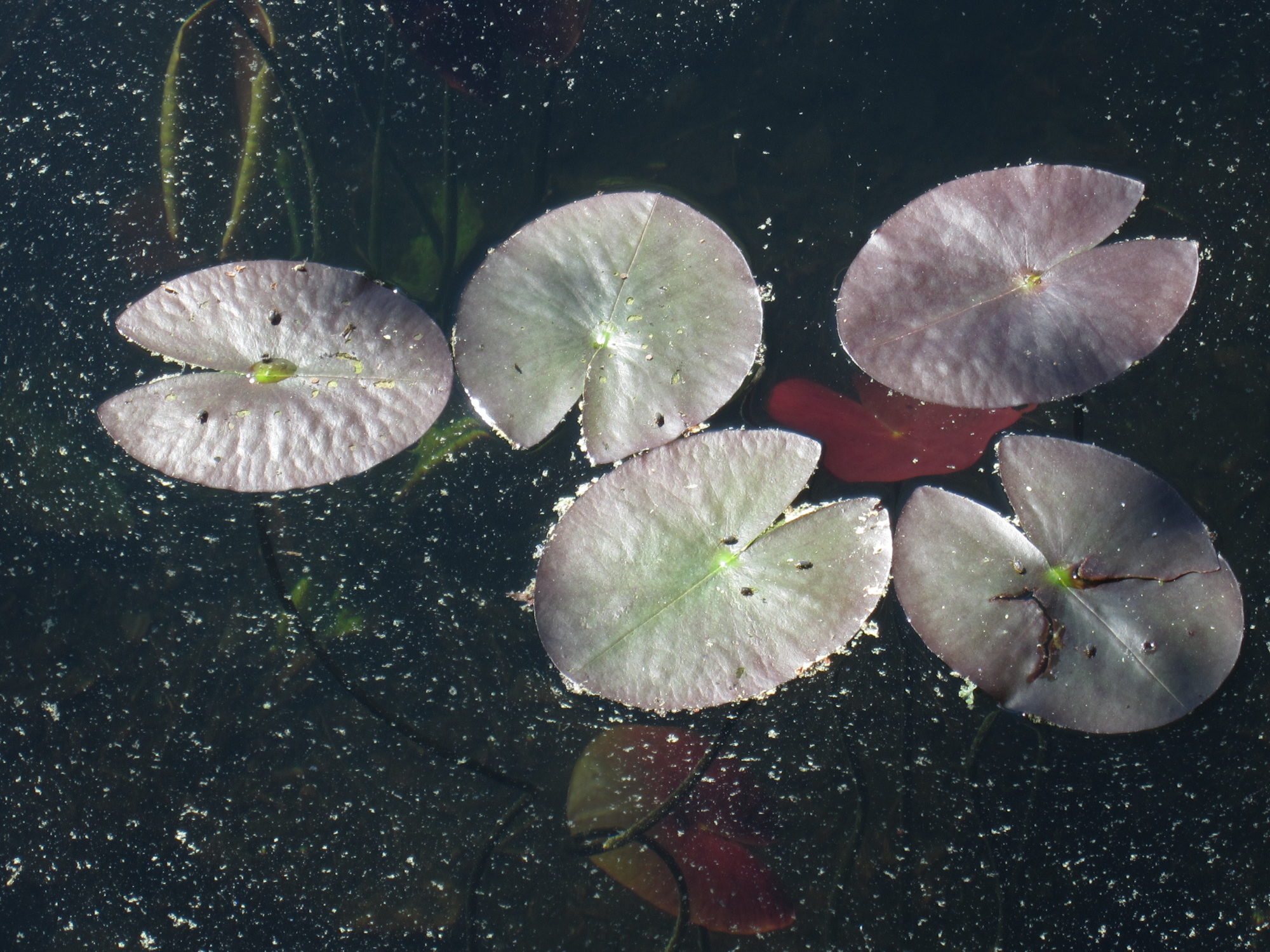 Valokuvaaja: Marita Portin Valokuvaaja: Marita Portin