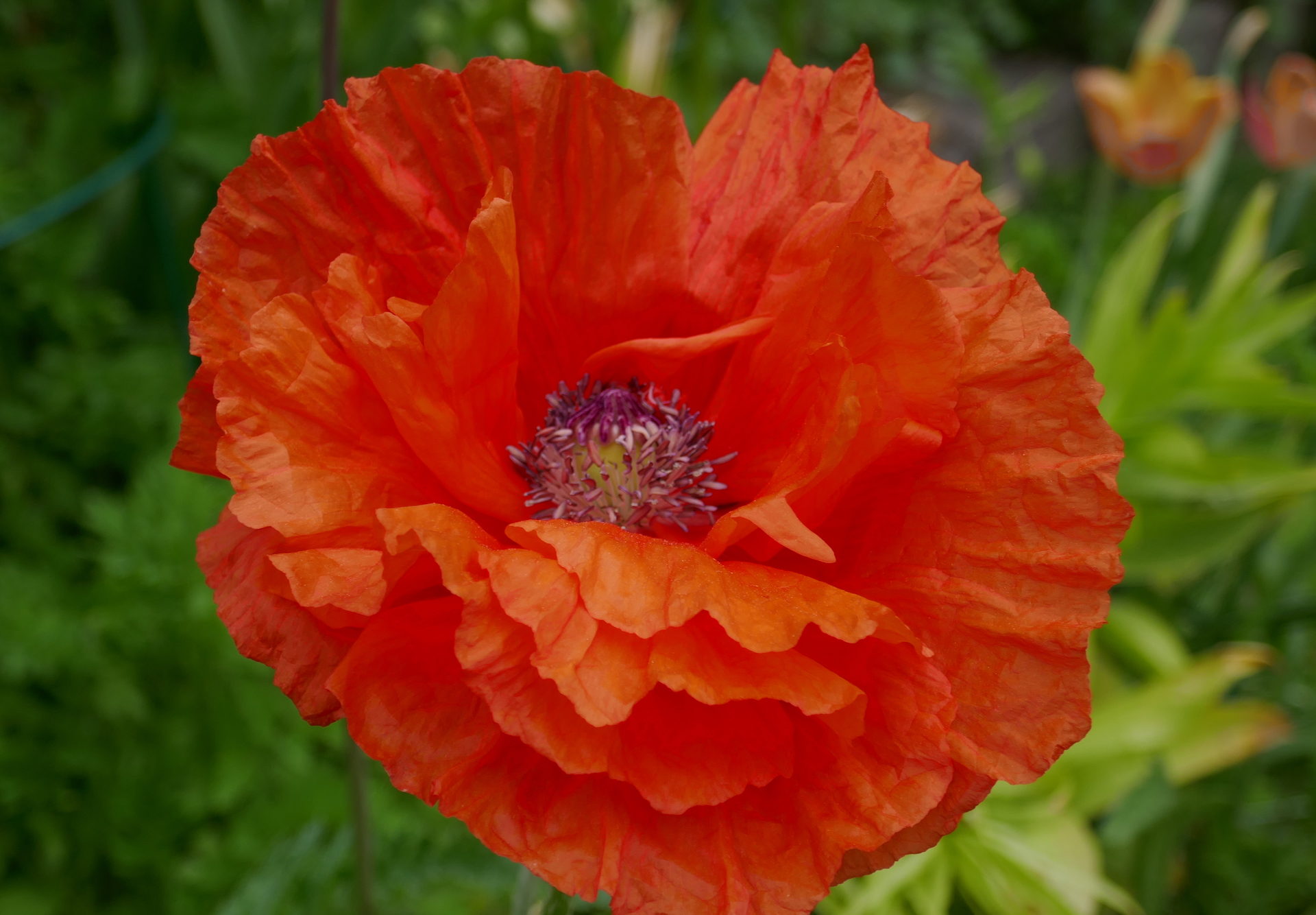 Valokuvaaja: Marjut Ikonen