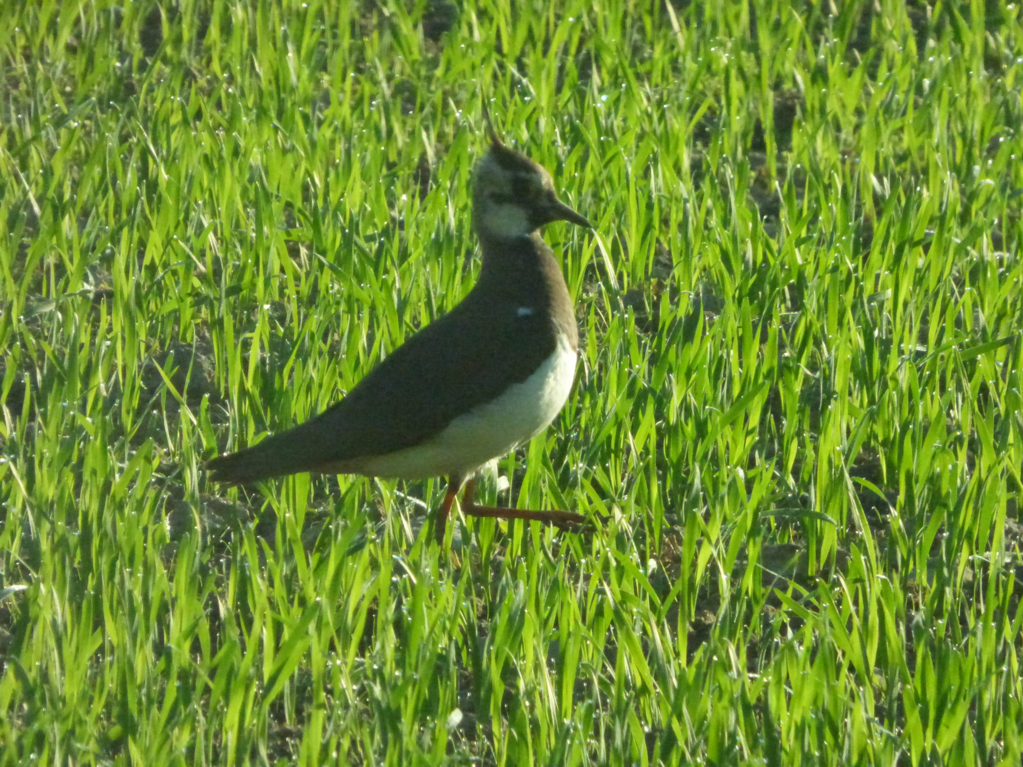 Valokuvaaja: Hannu Rissanen