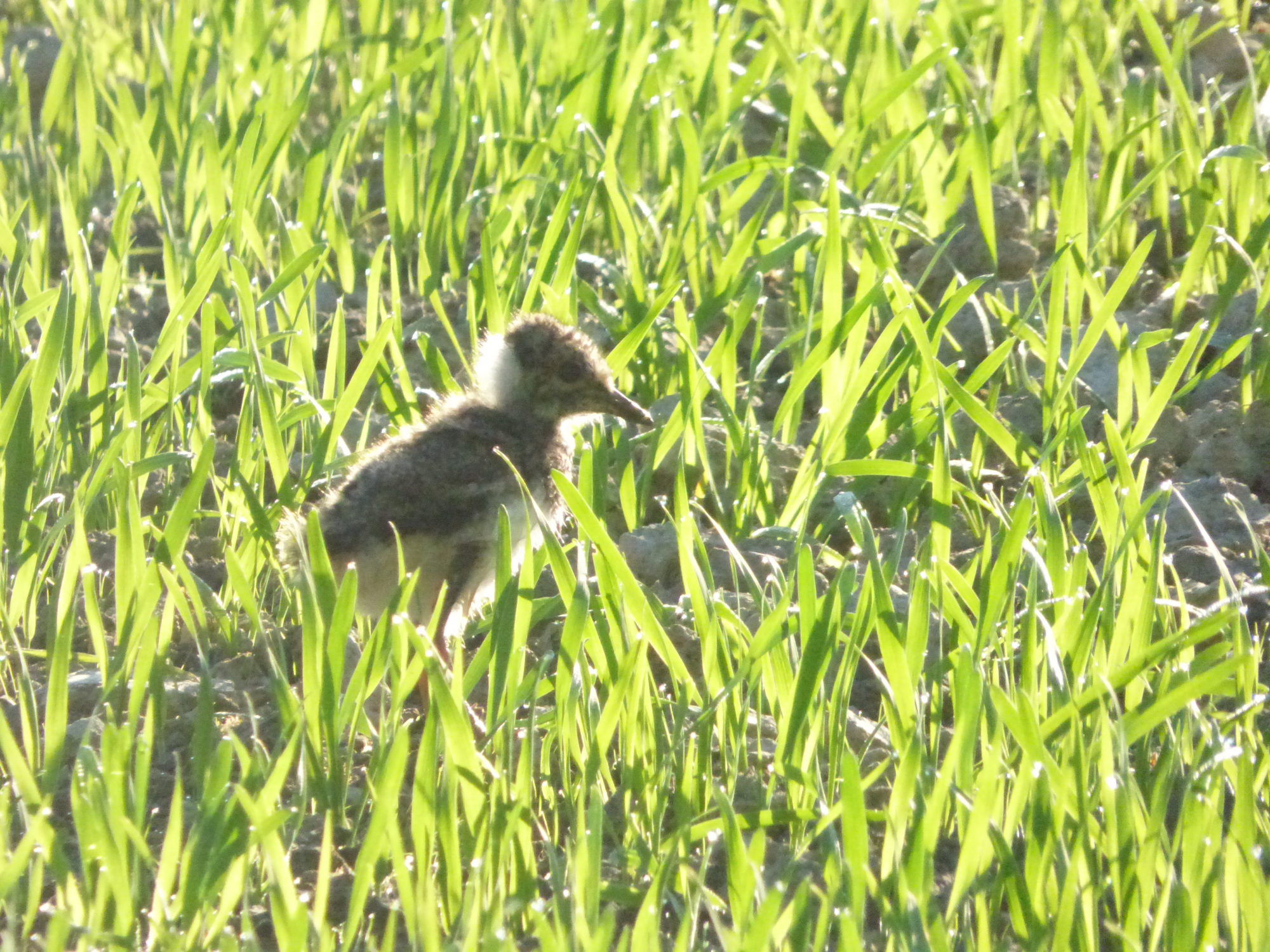 Valokuvaaja: Hannu Rissanen