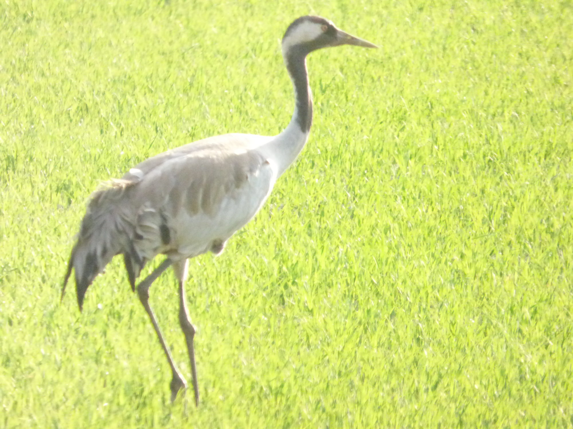 Valokuvaaja: Hannu Rissanen